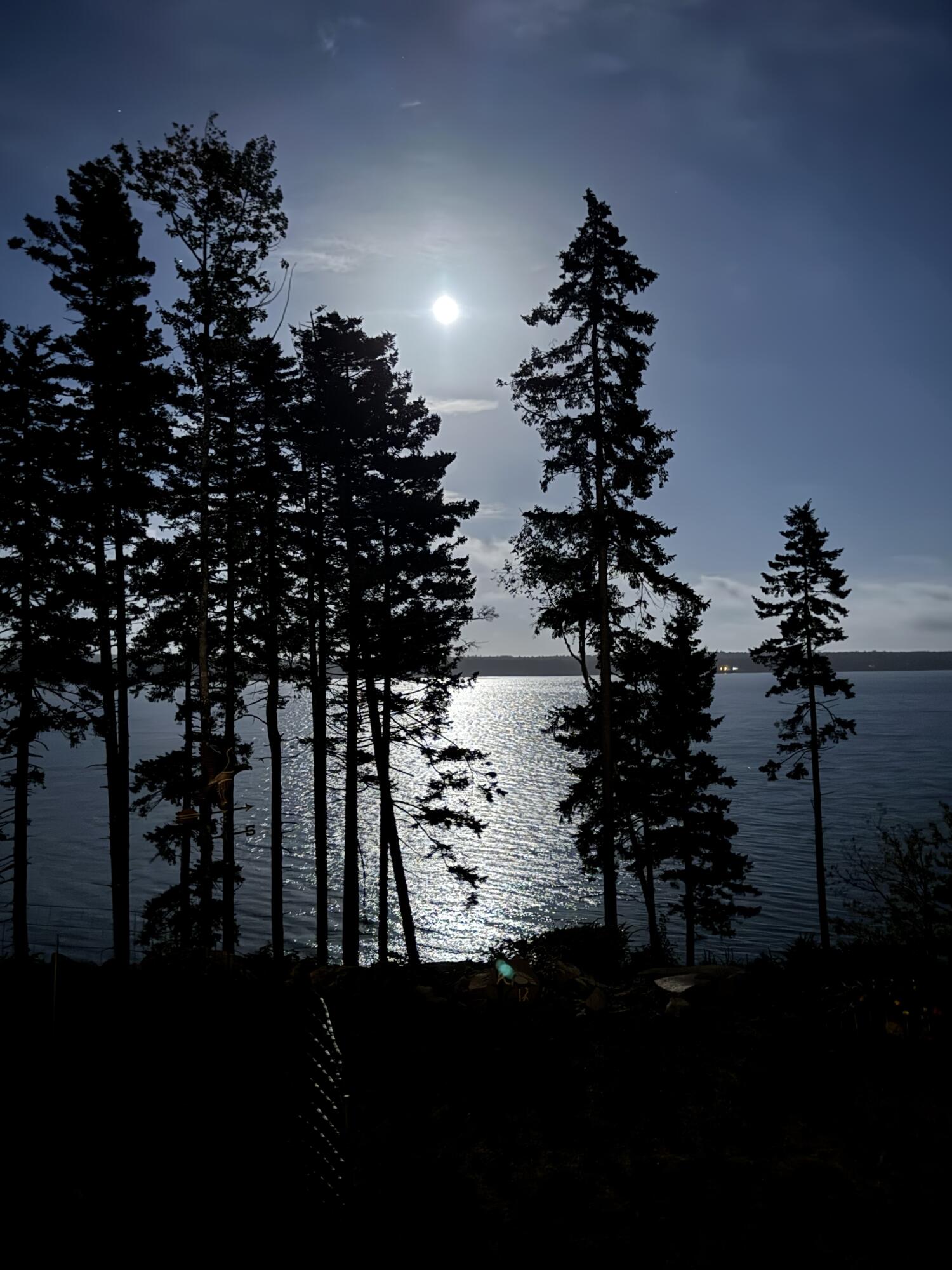 49 Peninsula Shores Road, Gouldsboro, ME, 04624