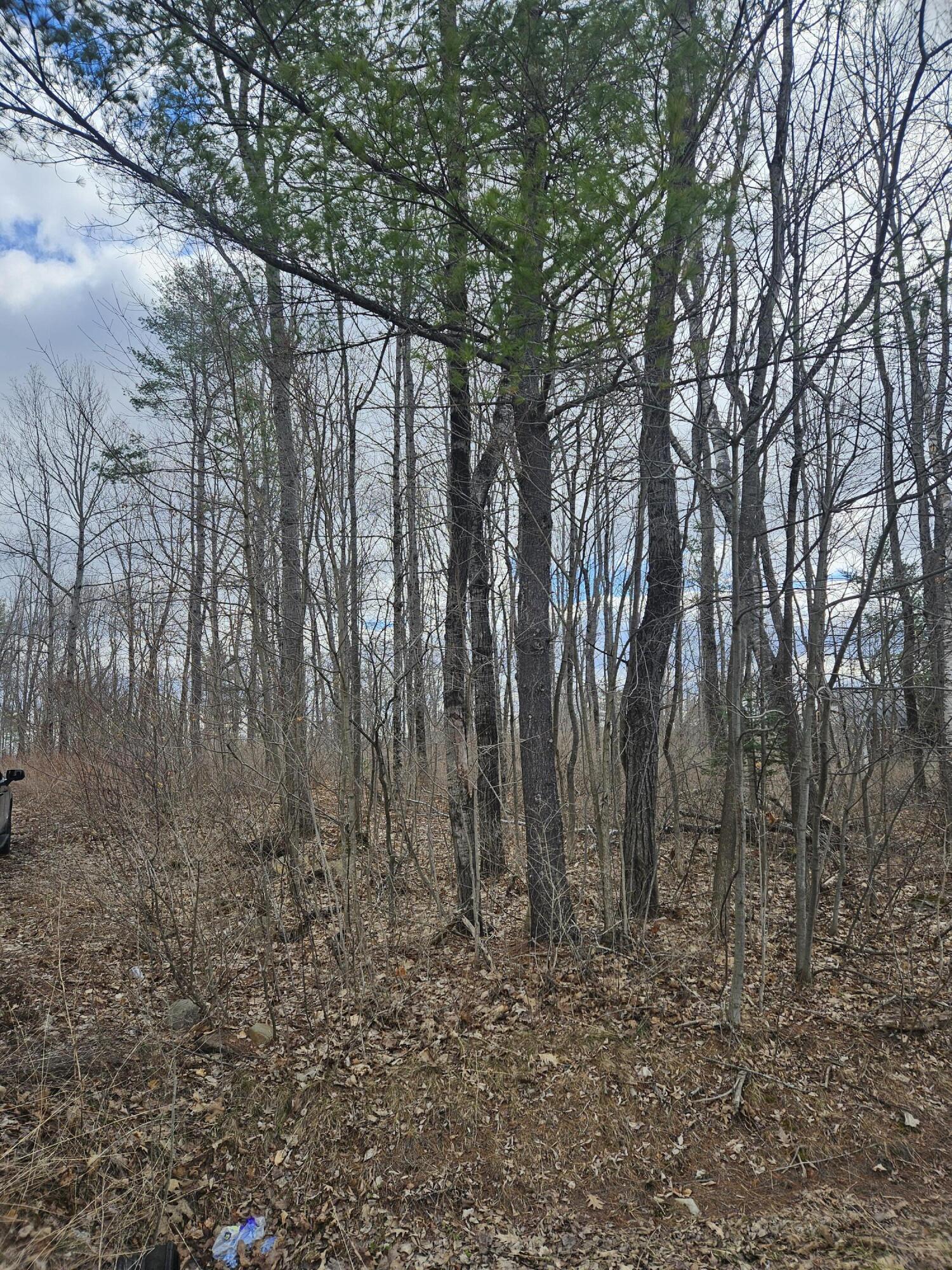 Lot 113-2 Cushman Road, Winslow, ME, 04901