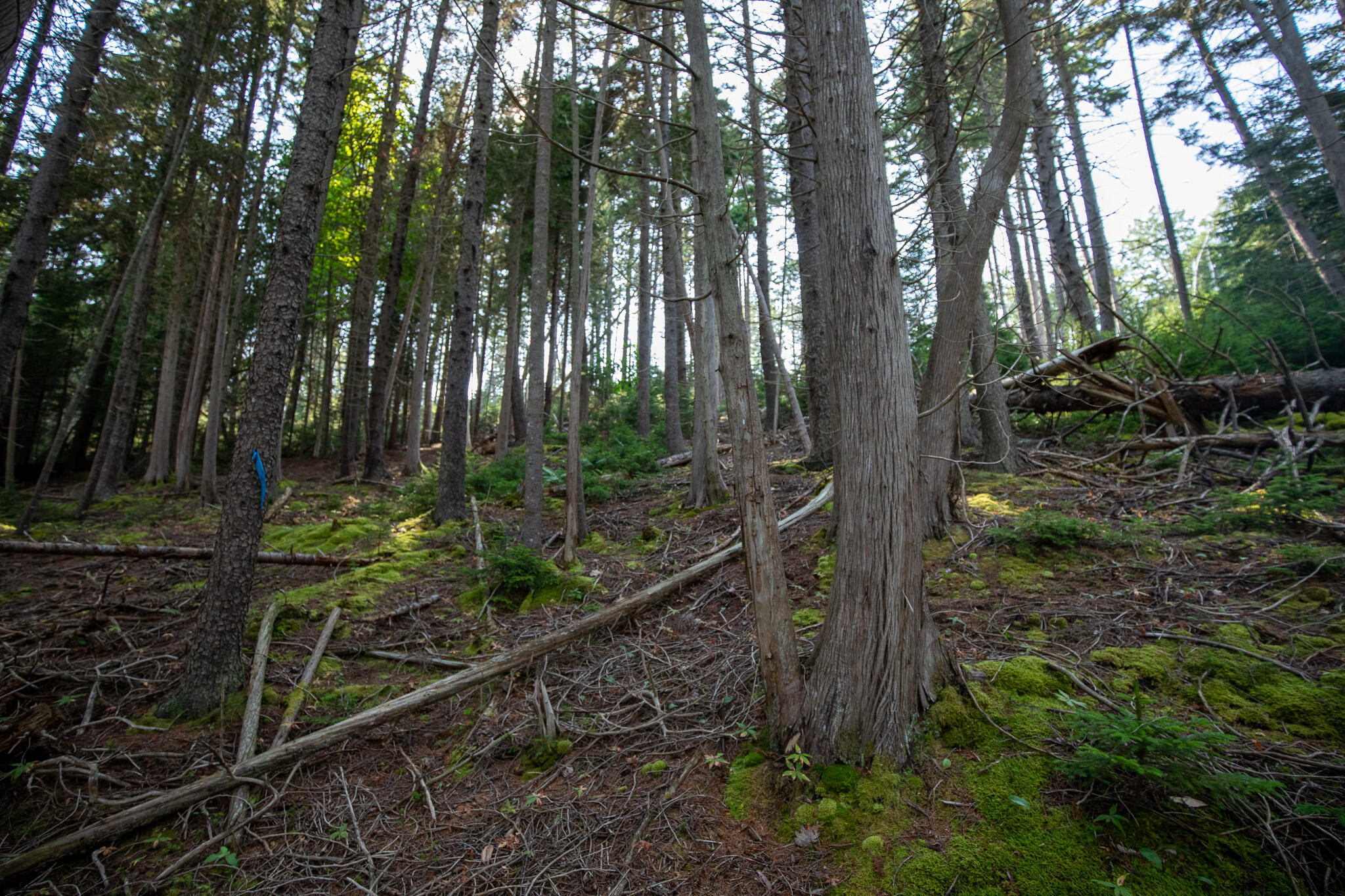 0 Bayview Road UNIT 2, Harpswell, ME, 04066