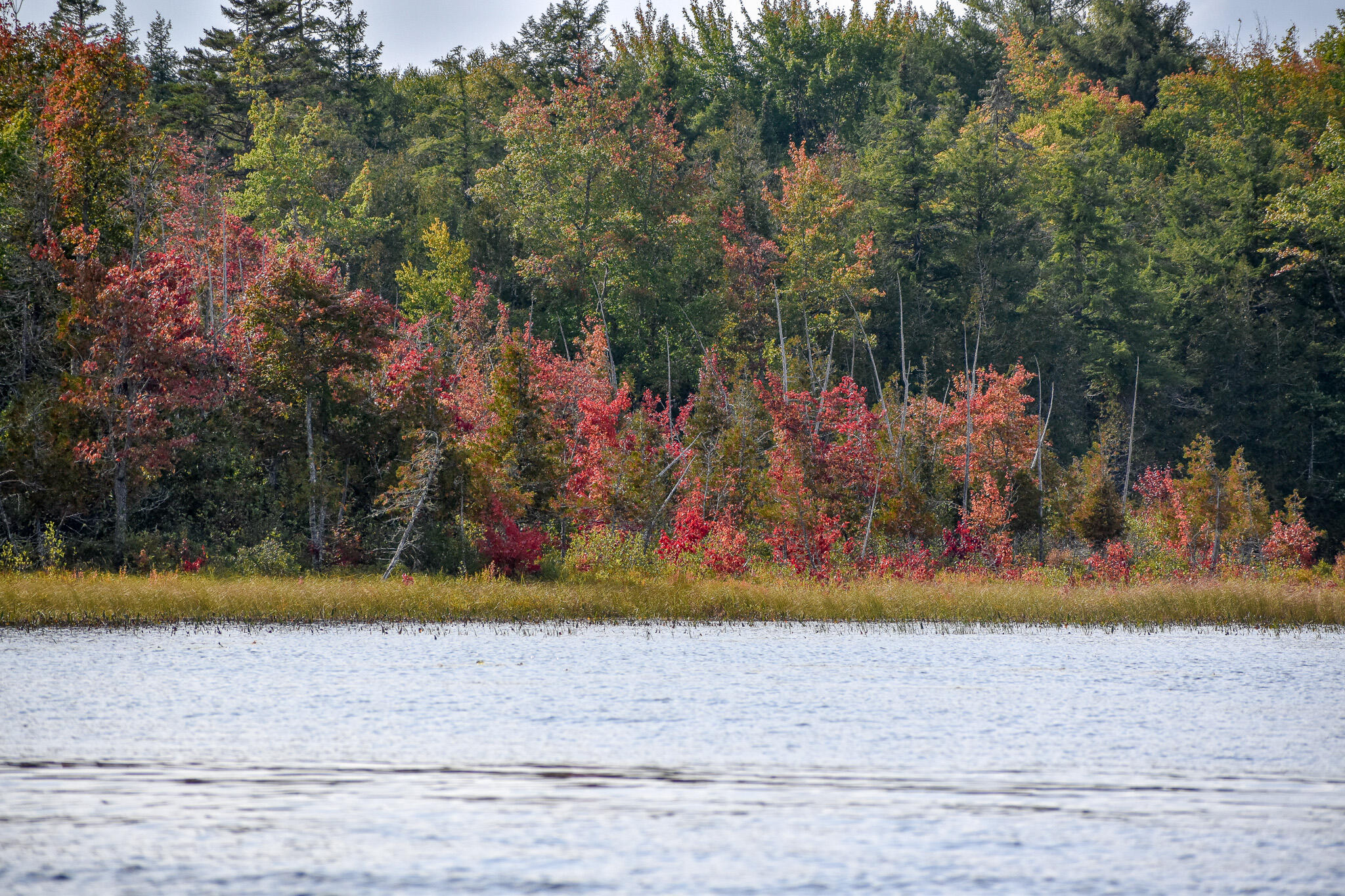 54 Carver Road, Milo, ME, 04463