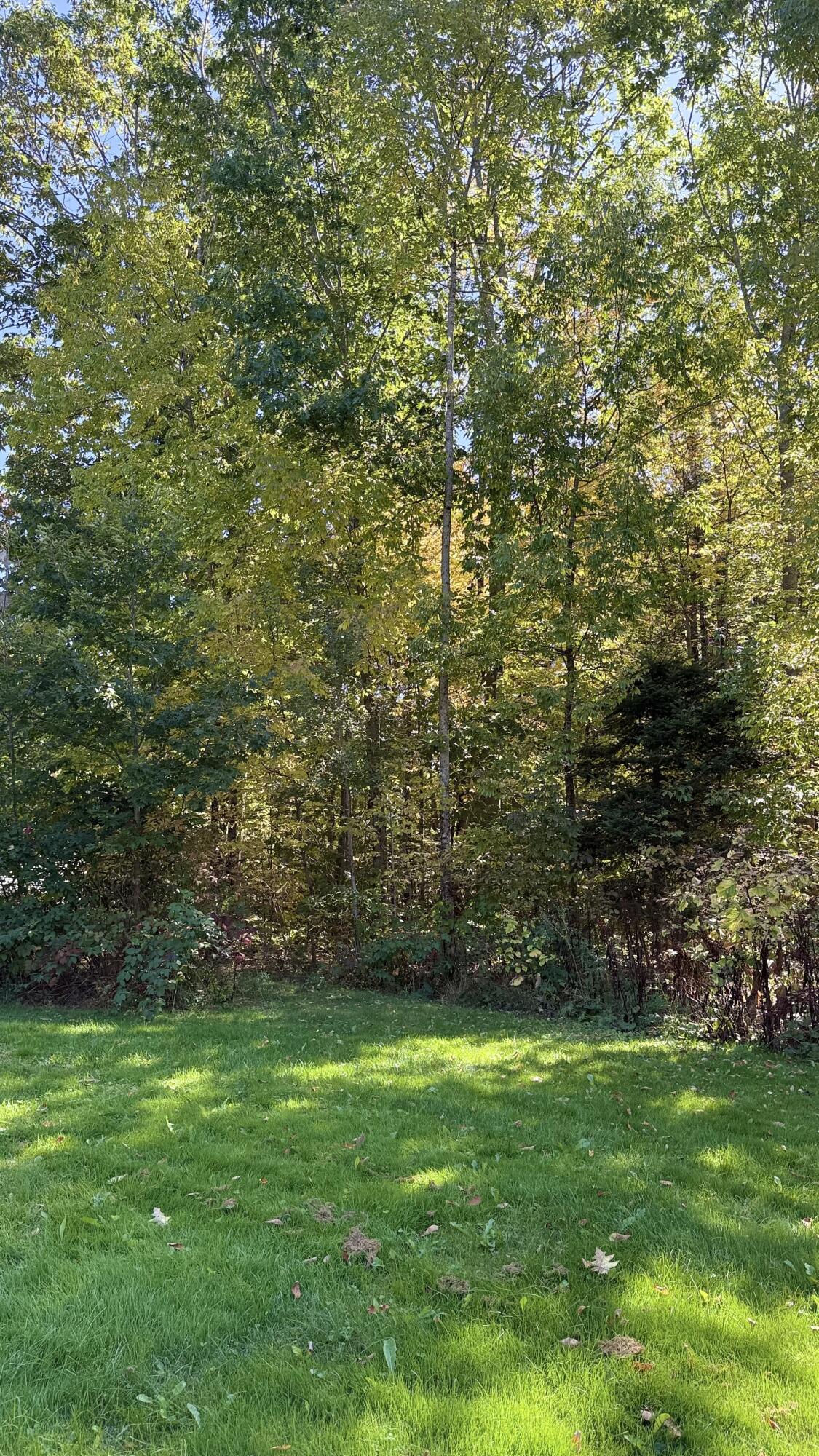 249 School Road, Charleston, ME, 04422
