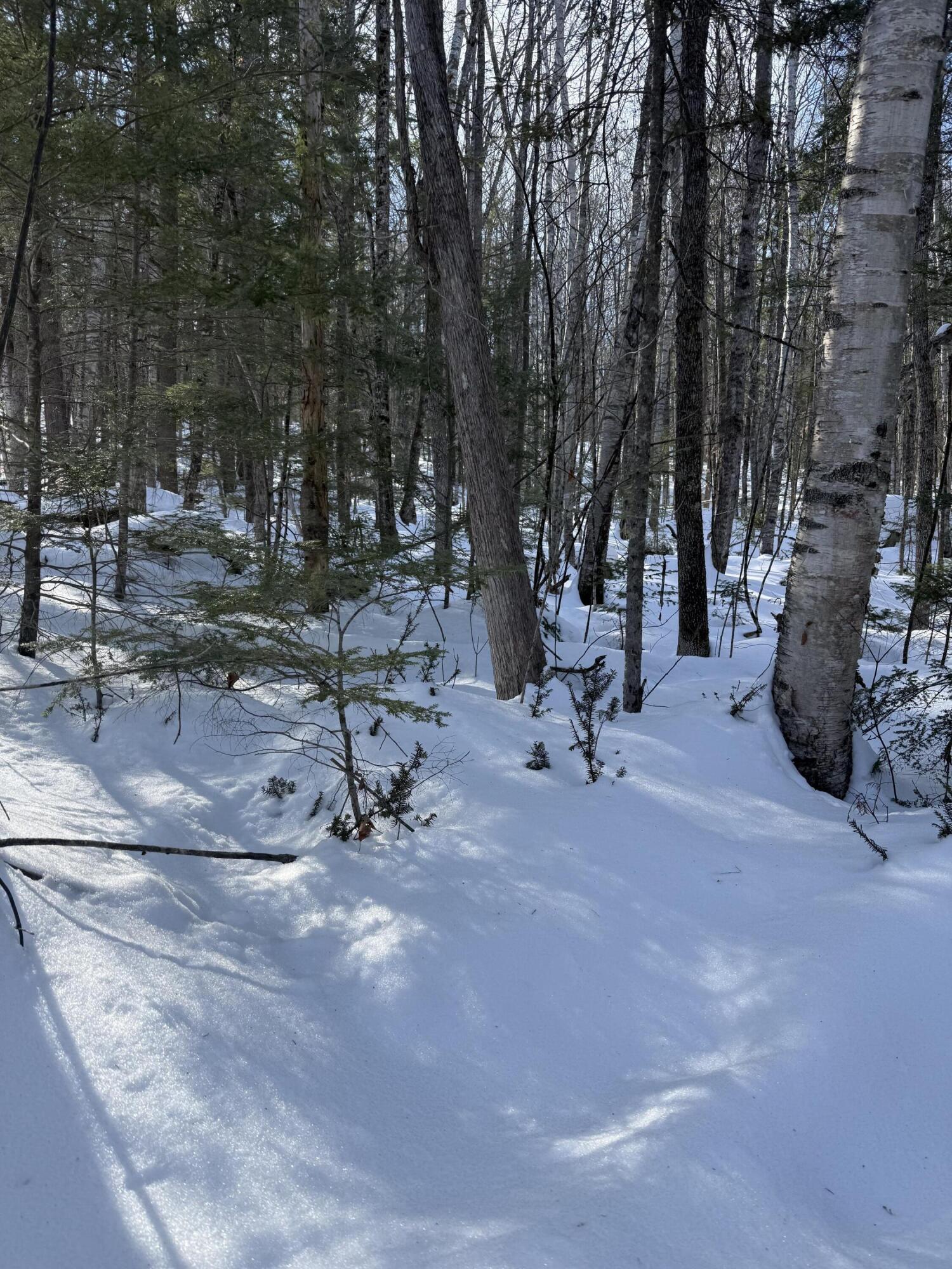 Photo of TBD Great Moose Pond Drive Hartland ME 04943