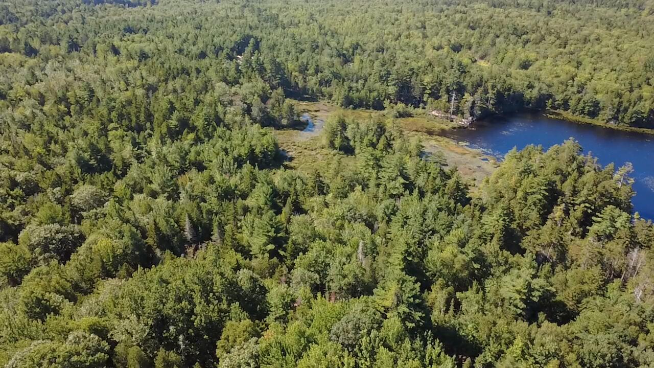 Photo of 0 Pine Hill Lane Blue Hill ME 04614