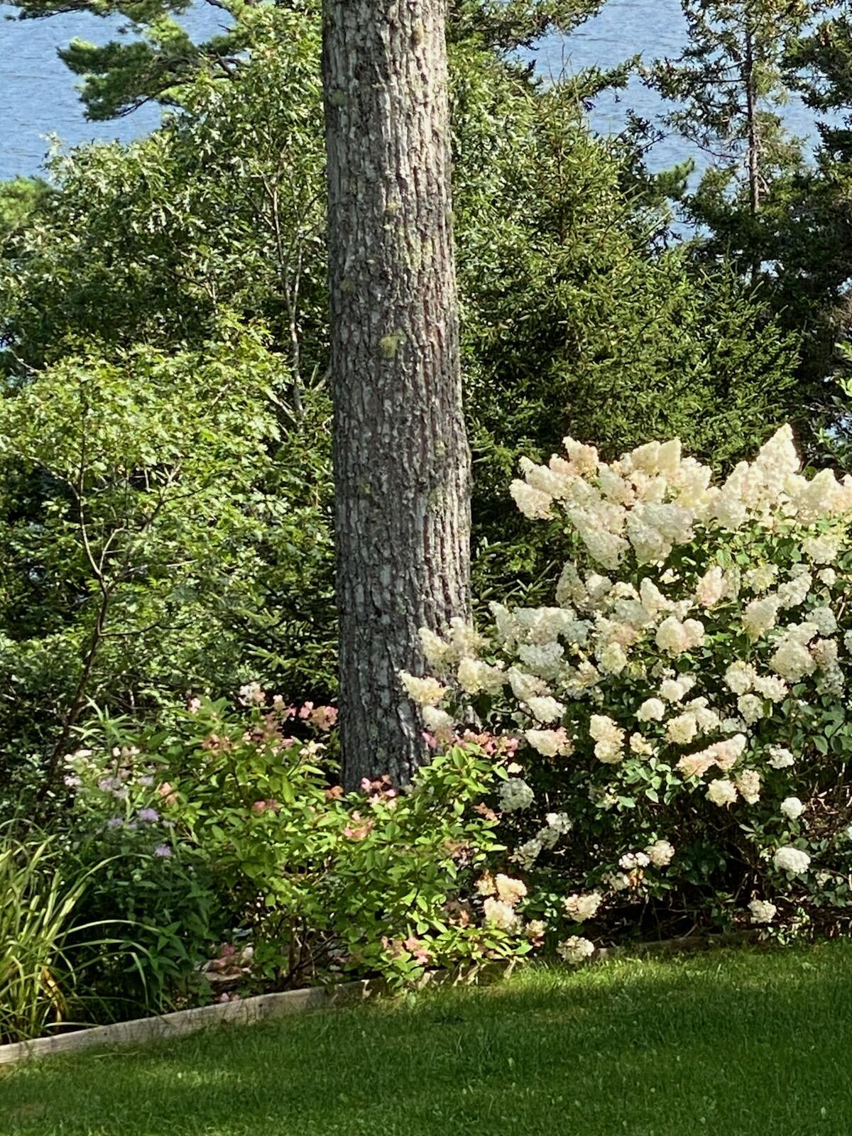 33 + 30 Taylor Road, Westport Island, ME, 04578