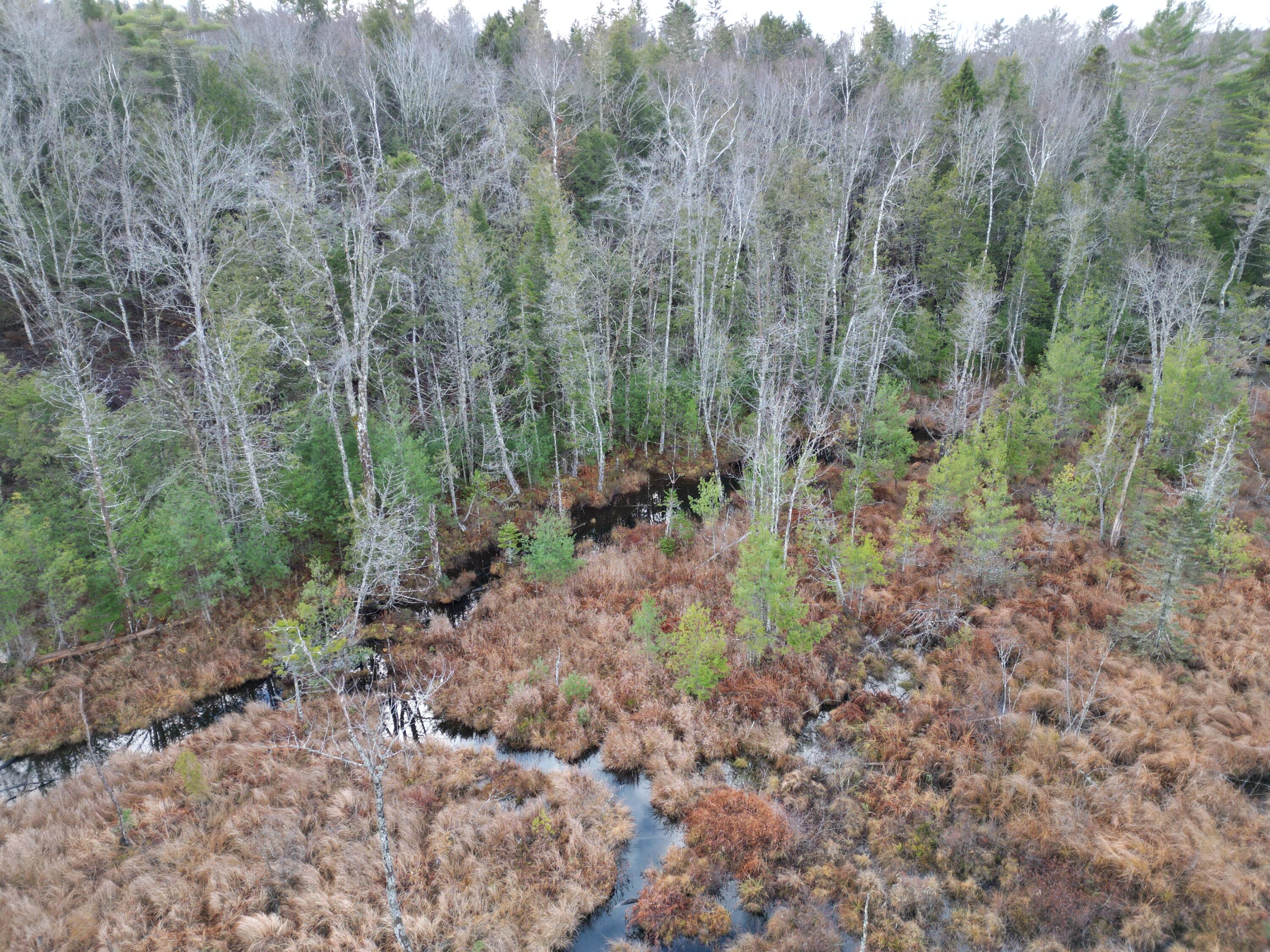 10 Falcon Ridge, Lincoln, ME, 04457