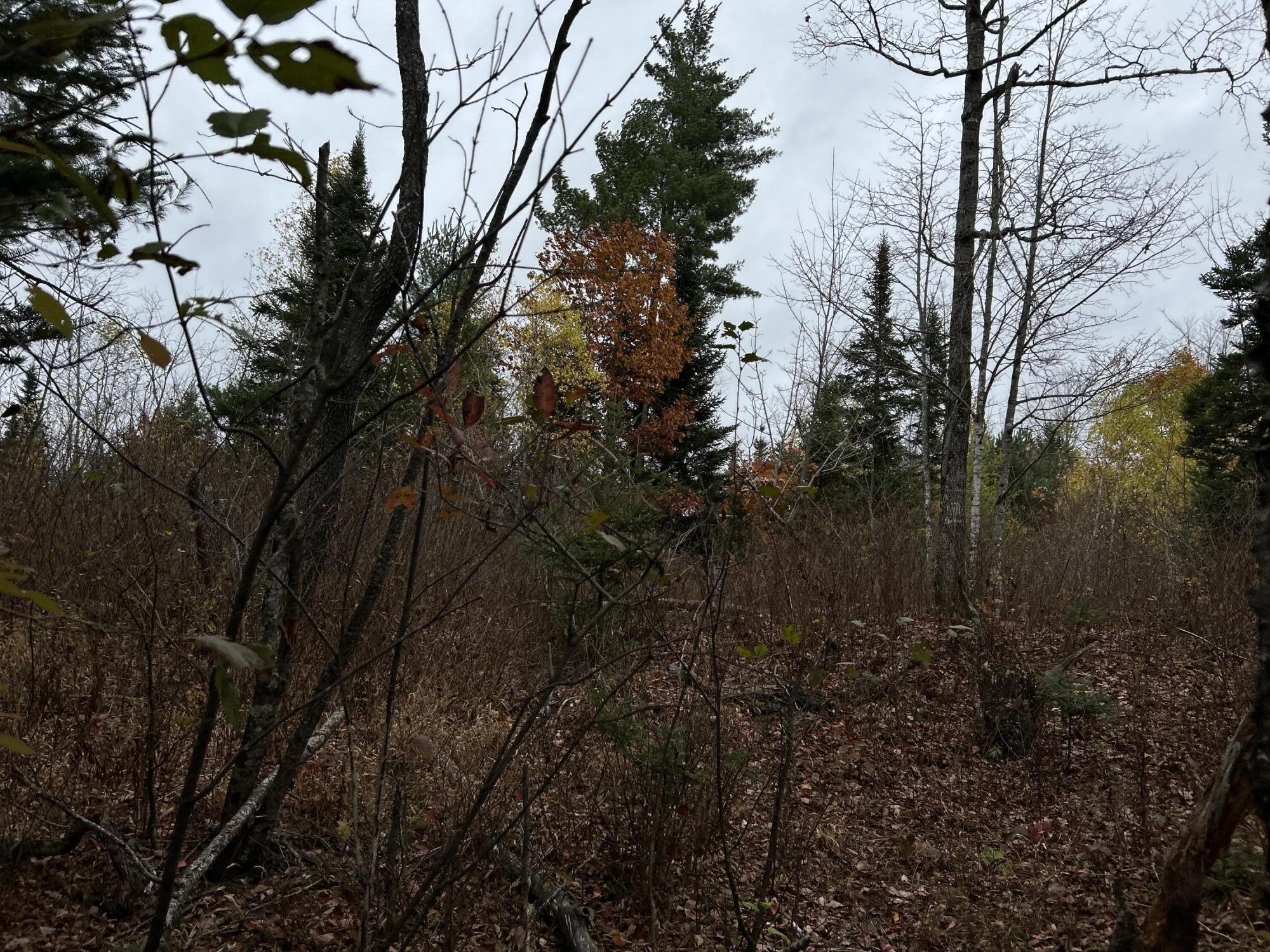 M4L18 Bog Road, Jackson, ME, 04921