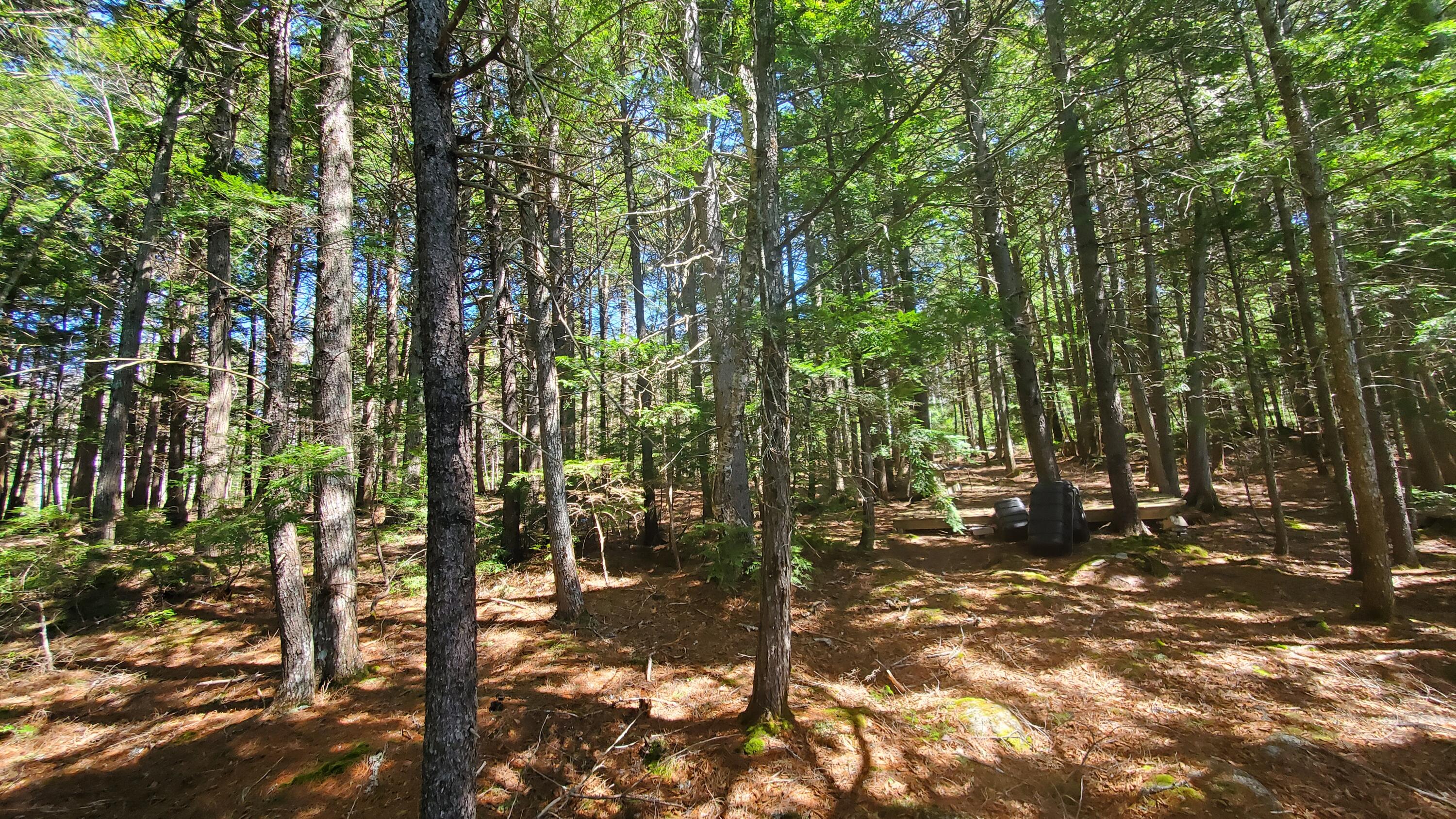 307 Lakeville Shores Road, Lakeville, ME, 04487
