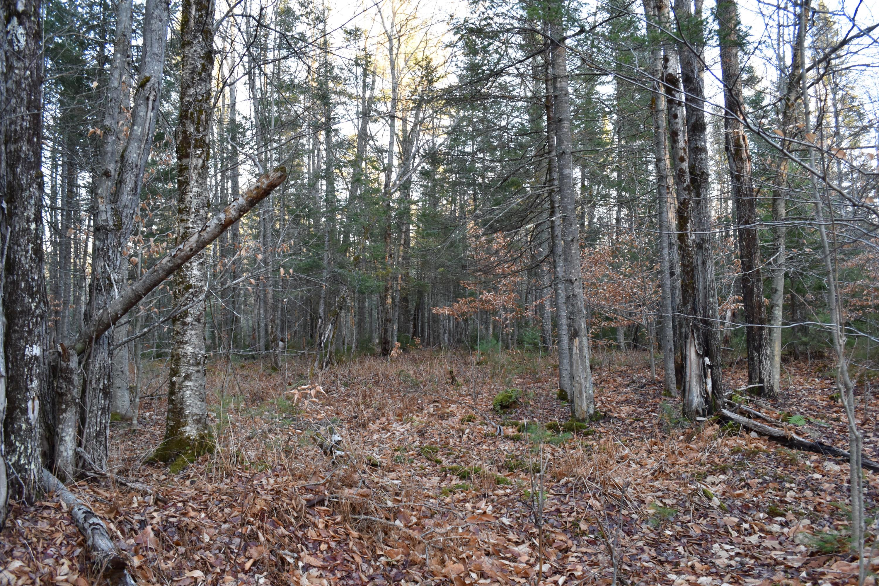 00 Daisy Bryant Rd., Bethel, ME, 04217