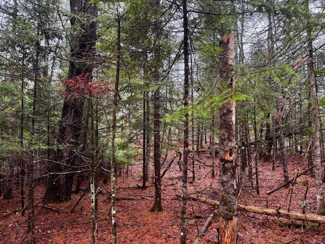 SO 001 Plan 2 Lot 16.1 Long Falls Dam Road, Lexington Twp, ME, 04961