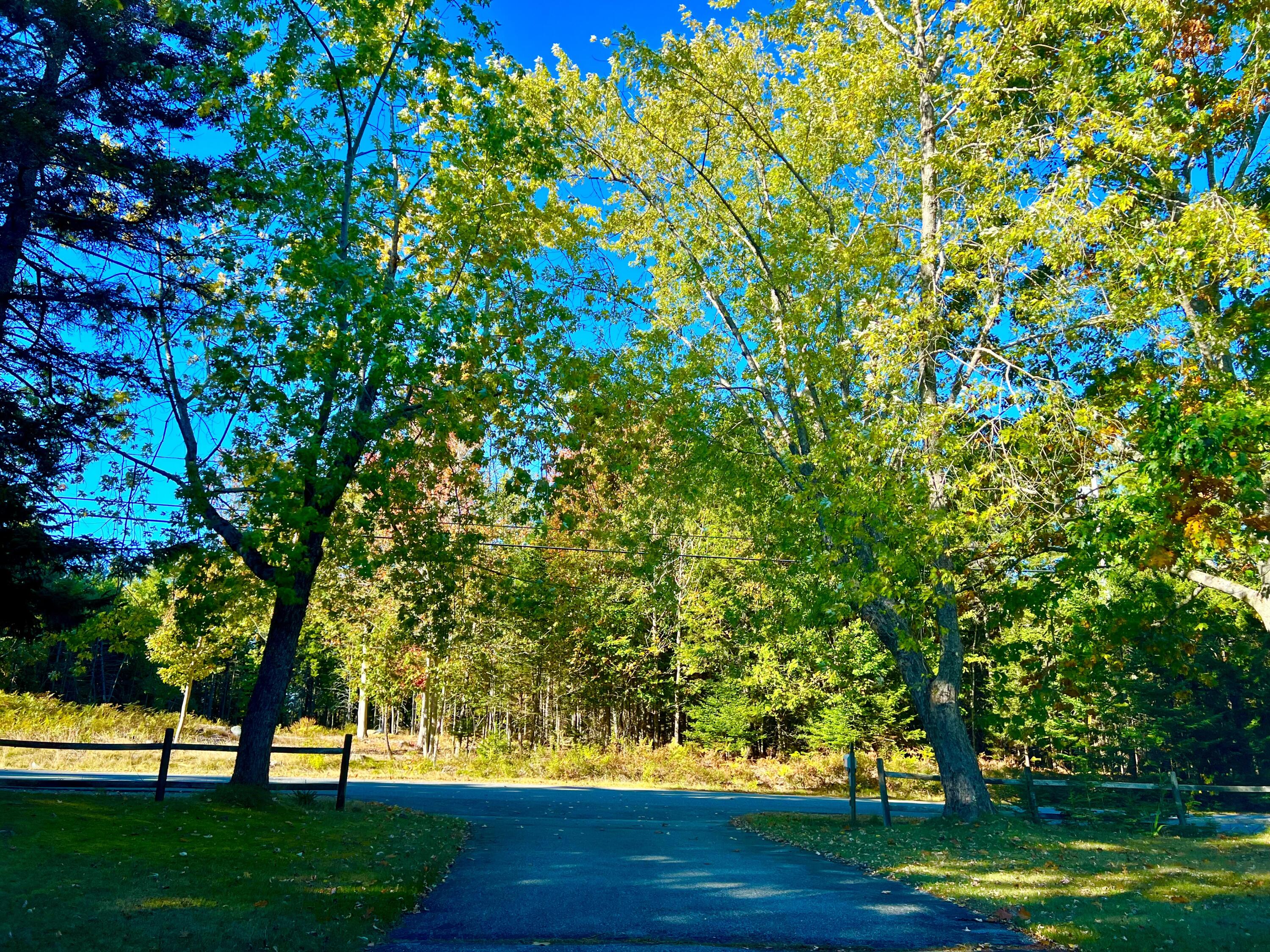 17 Freeman Ridge Road, Southwest Harbor, ME, 04679