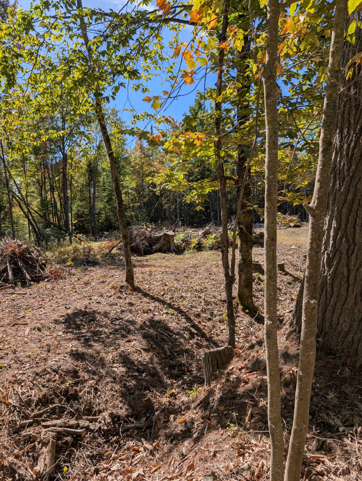 MR11 Lot40 Yeaton Swamp Road, Oxford, ME, 04270