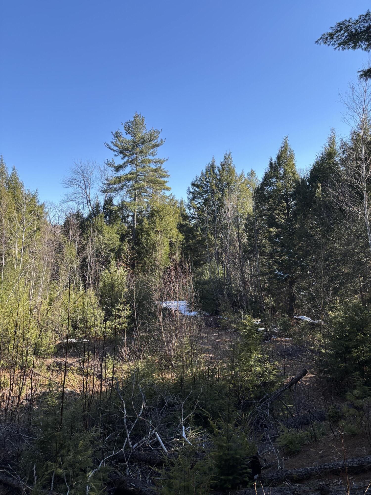 6 Bog Brook Loop, West Paris, ME, 04289