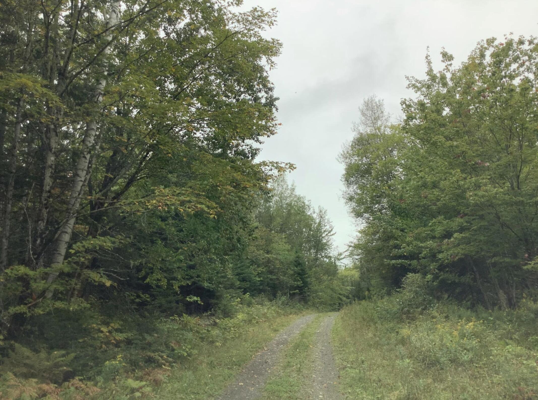 3 Abel Cyr Road, Cyr Plt, ME, 04785