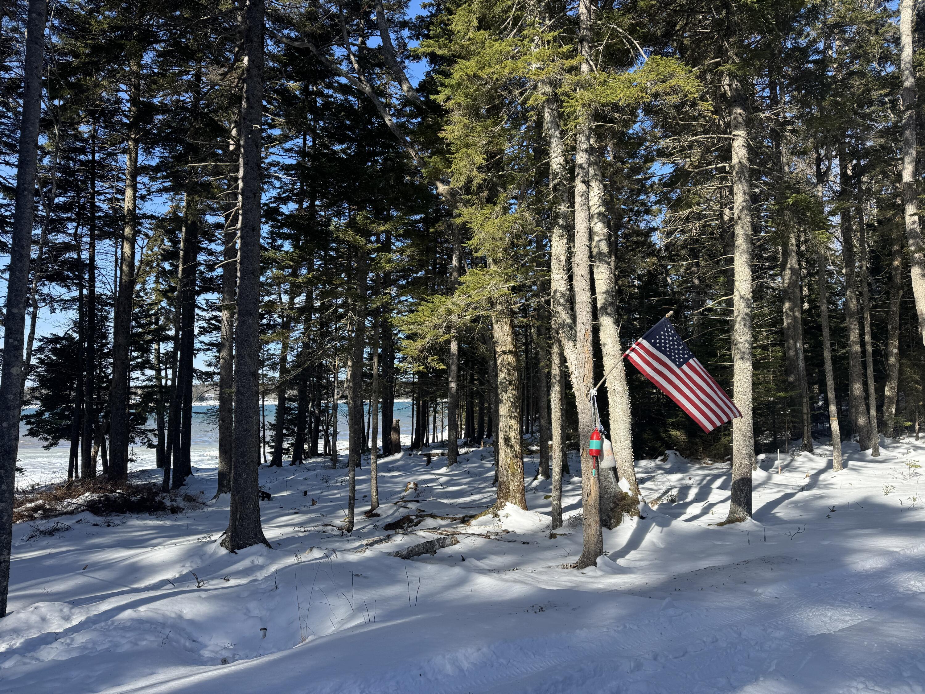 Lot B Fort Williams Road, Harrington, ME, 04643