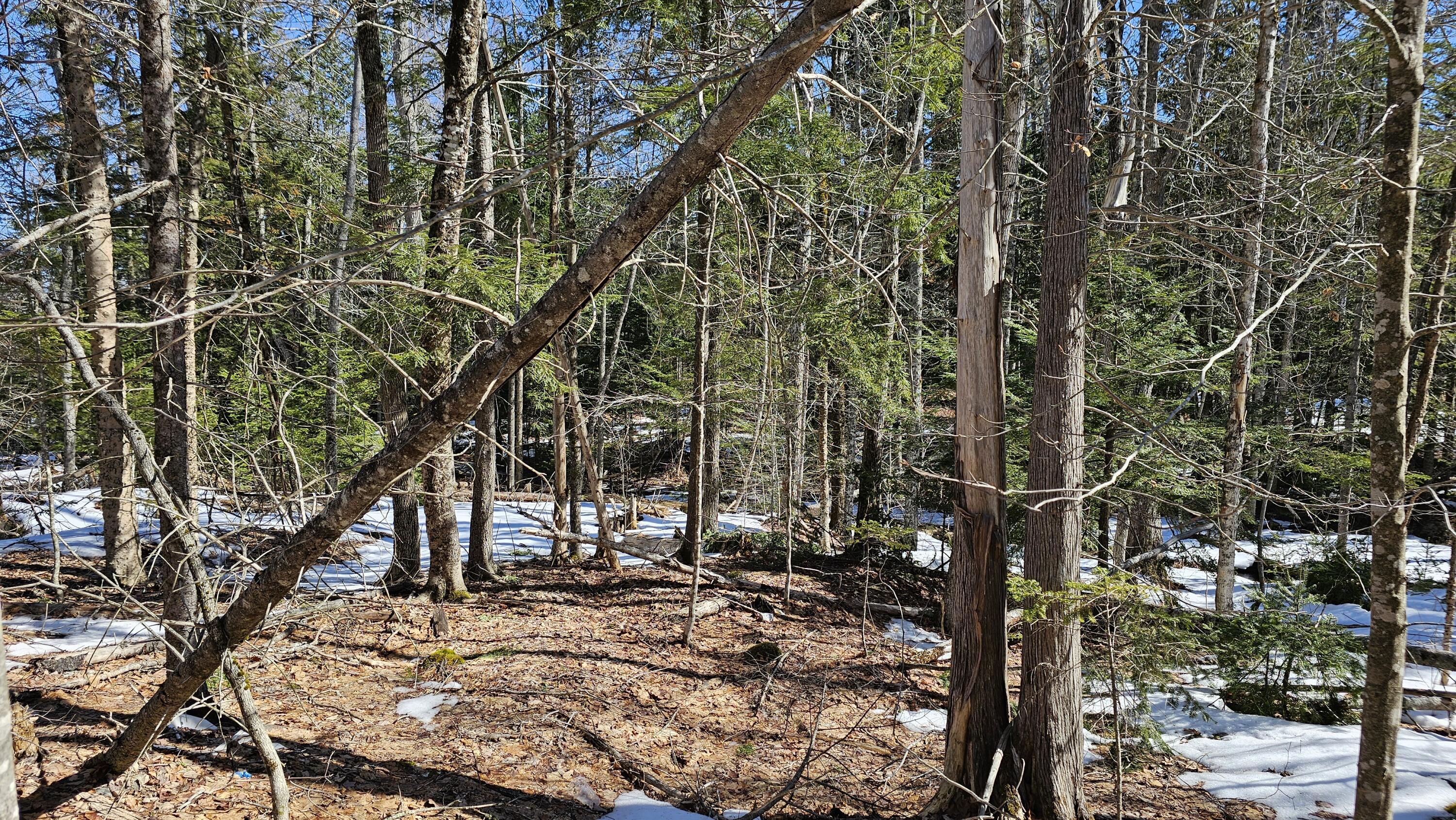 41-000-000 Kidder Hill Road, Holden, ME, 04429