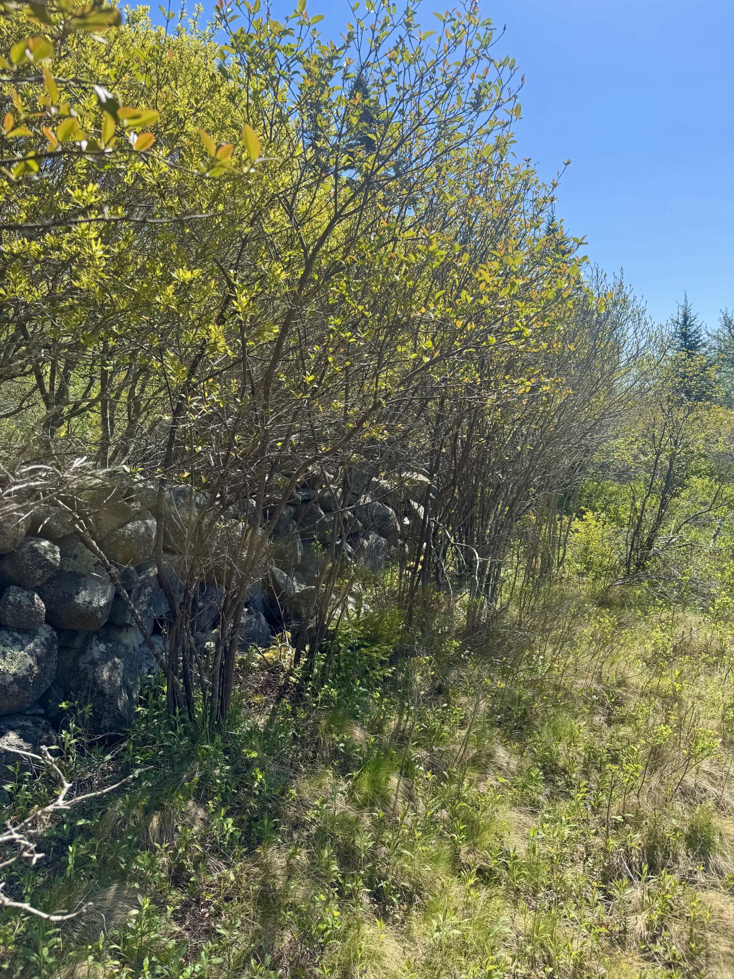 Lot UNIT&nbsp;5 George Wright Road, Vinalhaven, ME, 04863