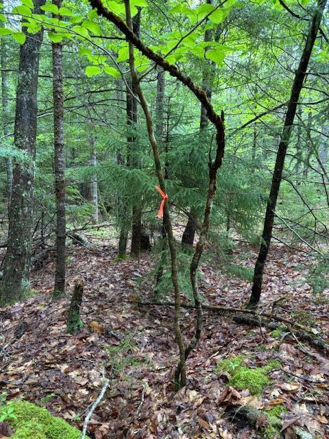 44A Trott Road Road, Woolwich, ME, 04579