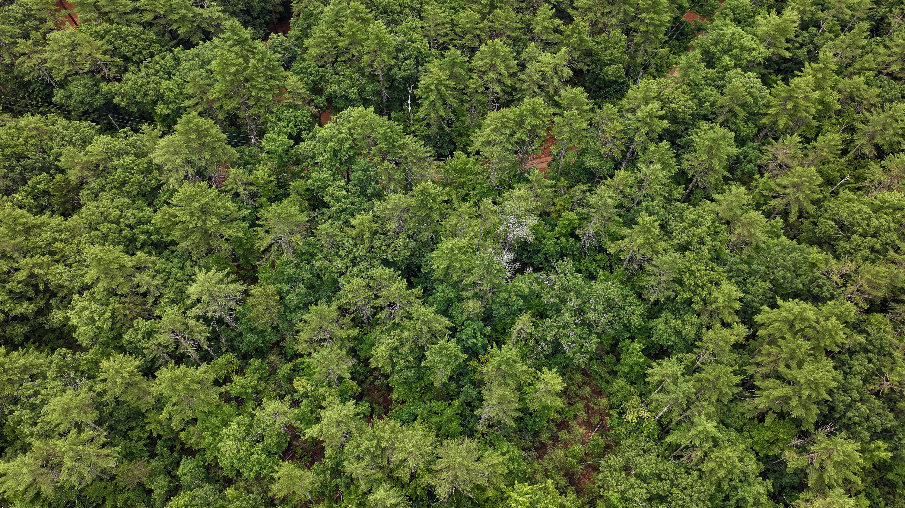 62-B Long Pond Drive, Denmark, ME, 04022