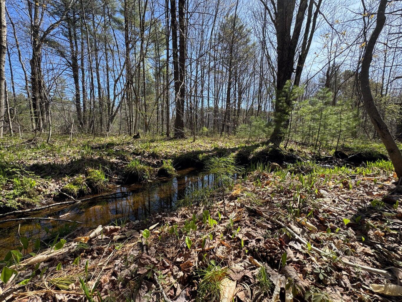 0 Scarlet Way, Lebanon, ME, 04027