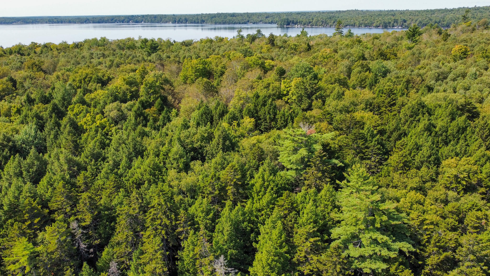 P/O M29L23 Bluff Road, Enfield, ME, 04493