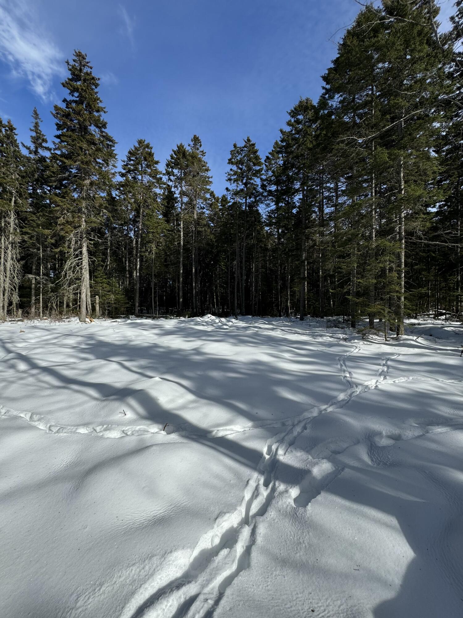 12 Jamestown Road, Vinalhaven, ME, 04863