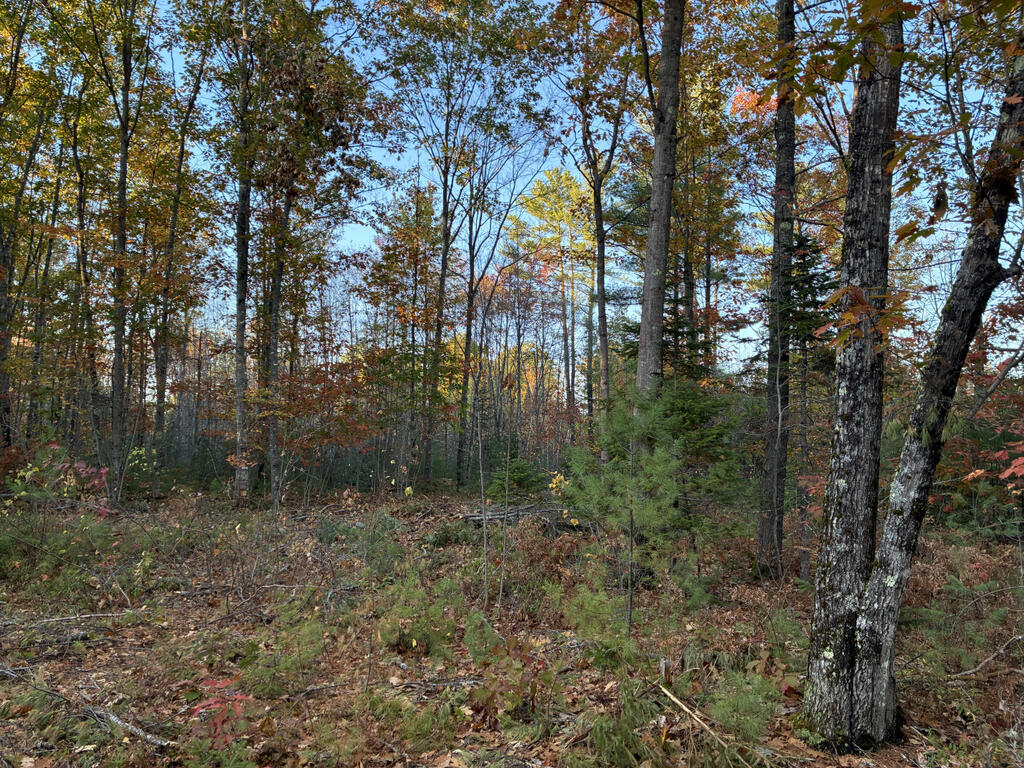 Lot2Ground1