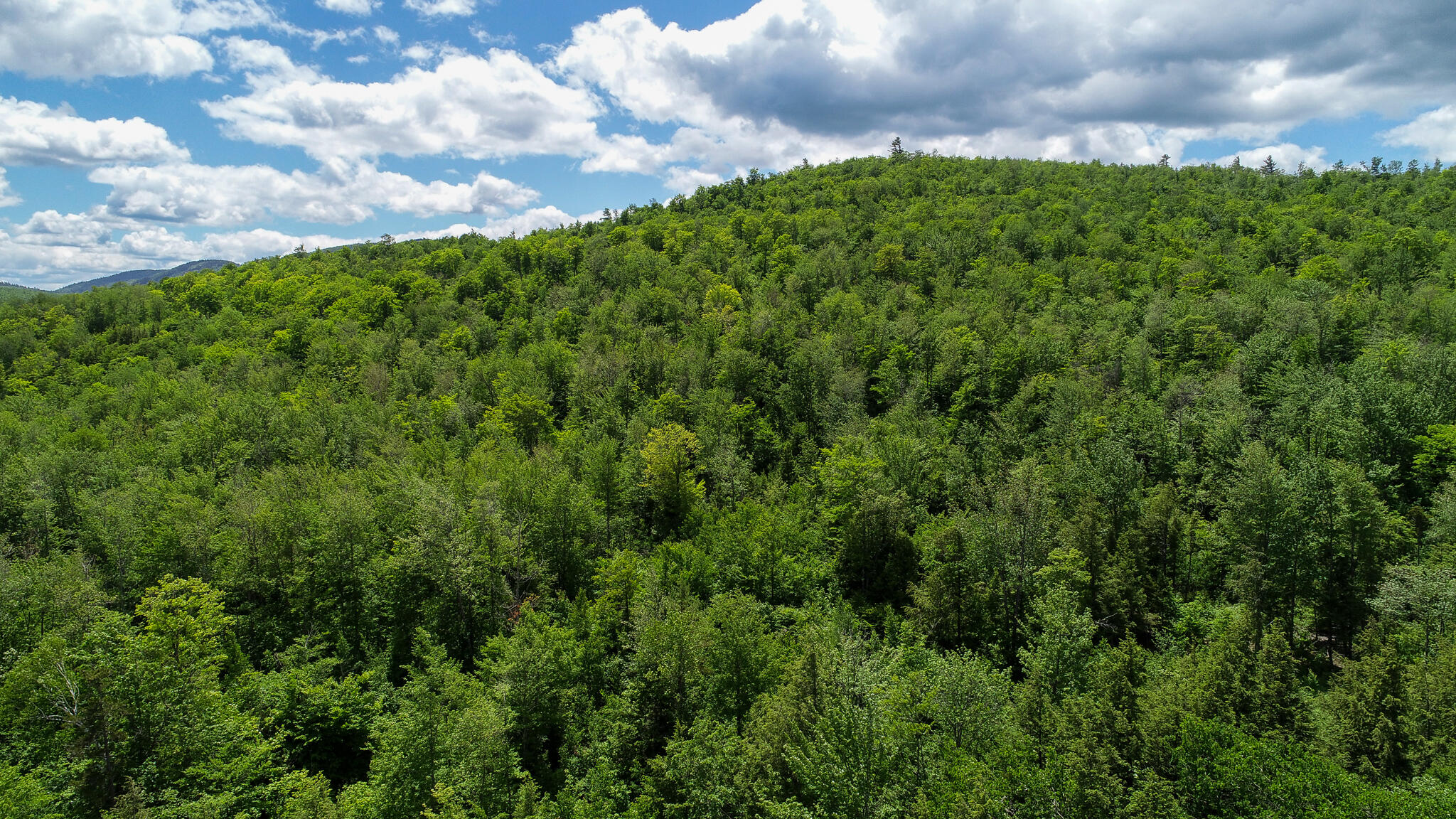 Map 203 Lot 001, Rumford, ME, 04276