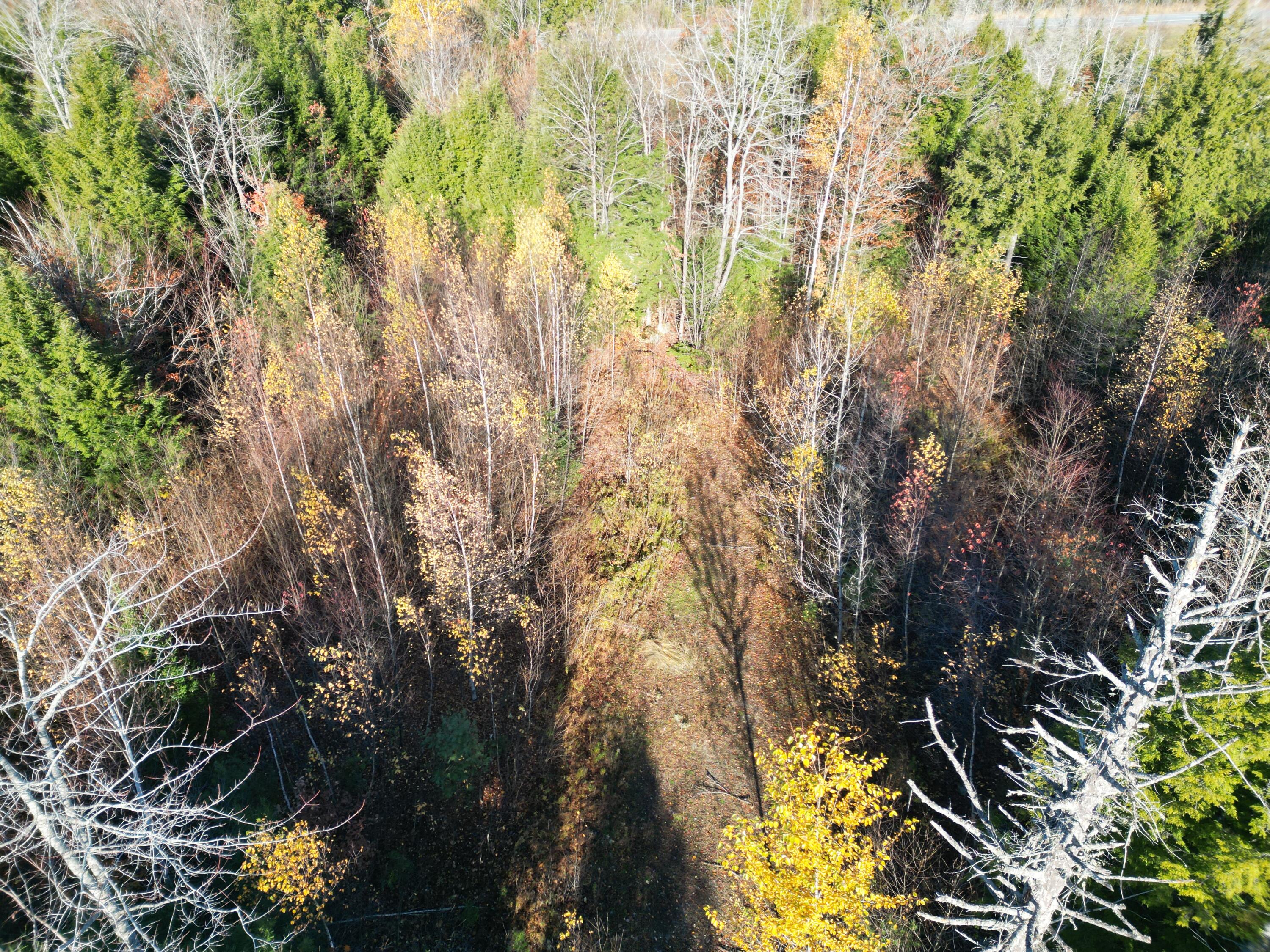 Lot 18-1 Mattamiscontis Road, Howland, ME, 04448