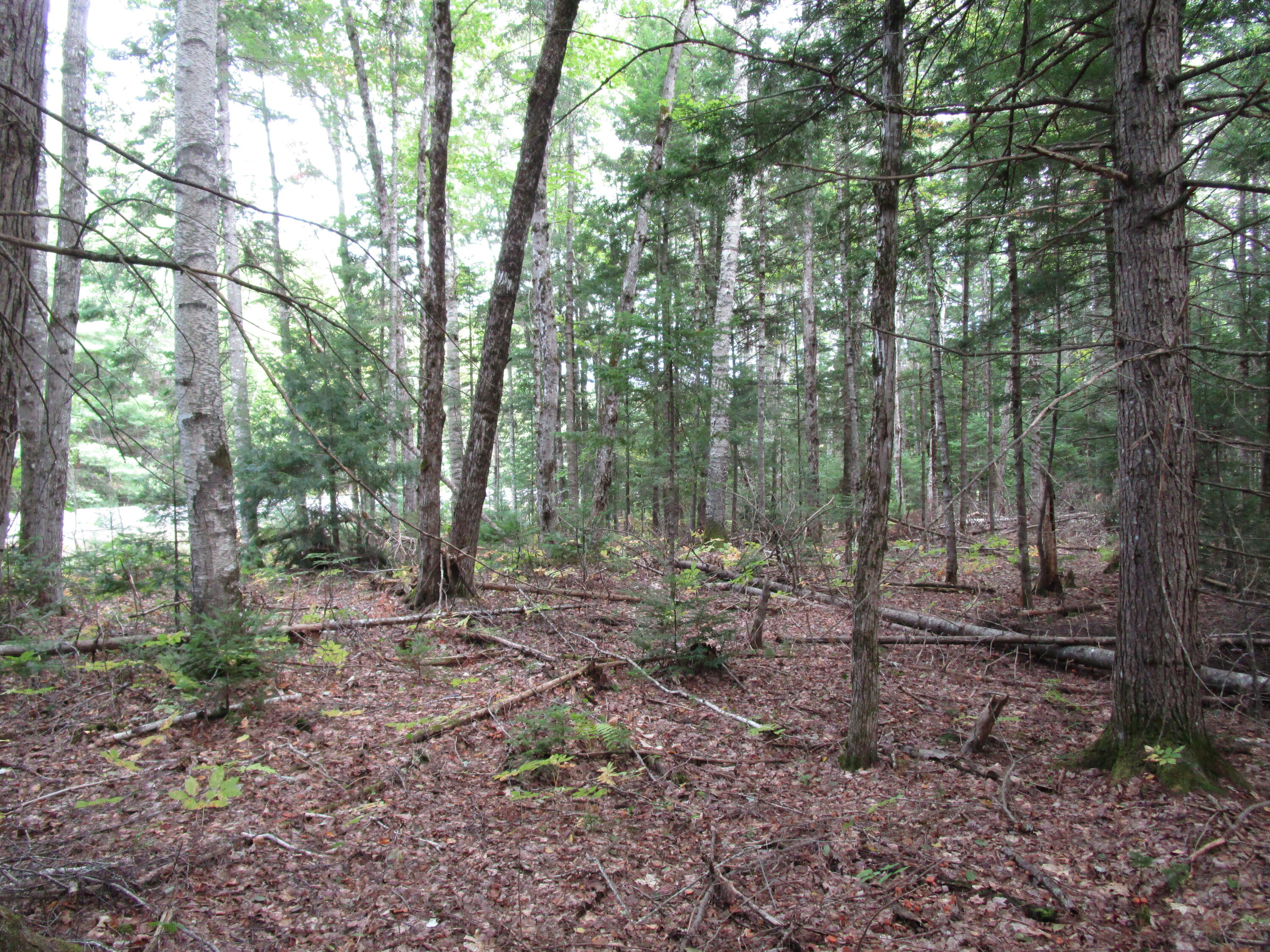 Photo of 2B NW Howland Road Howland ME 04448