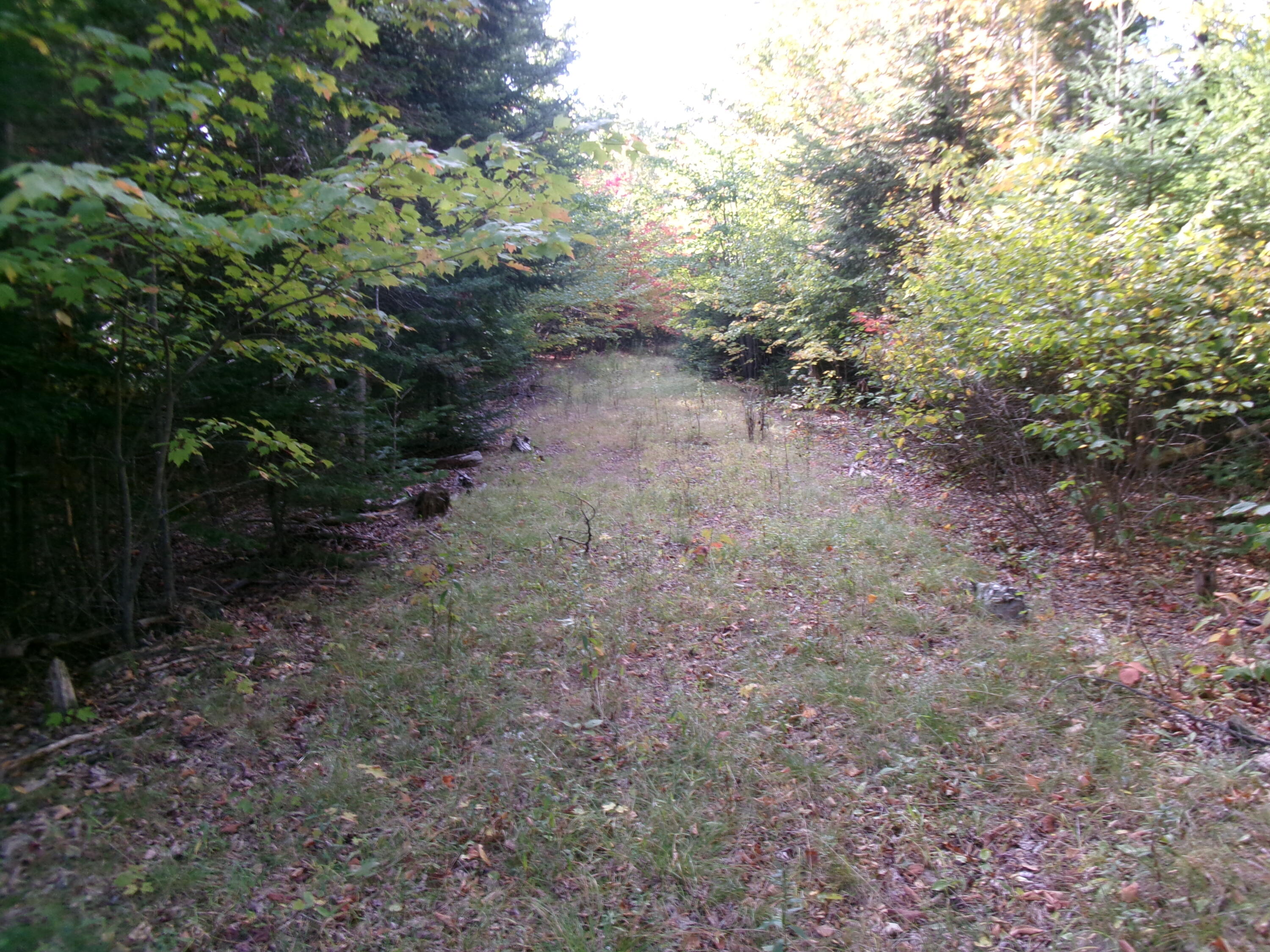 Washington County