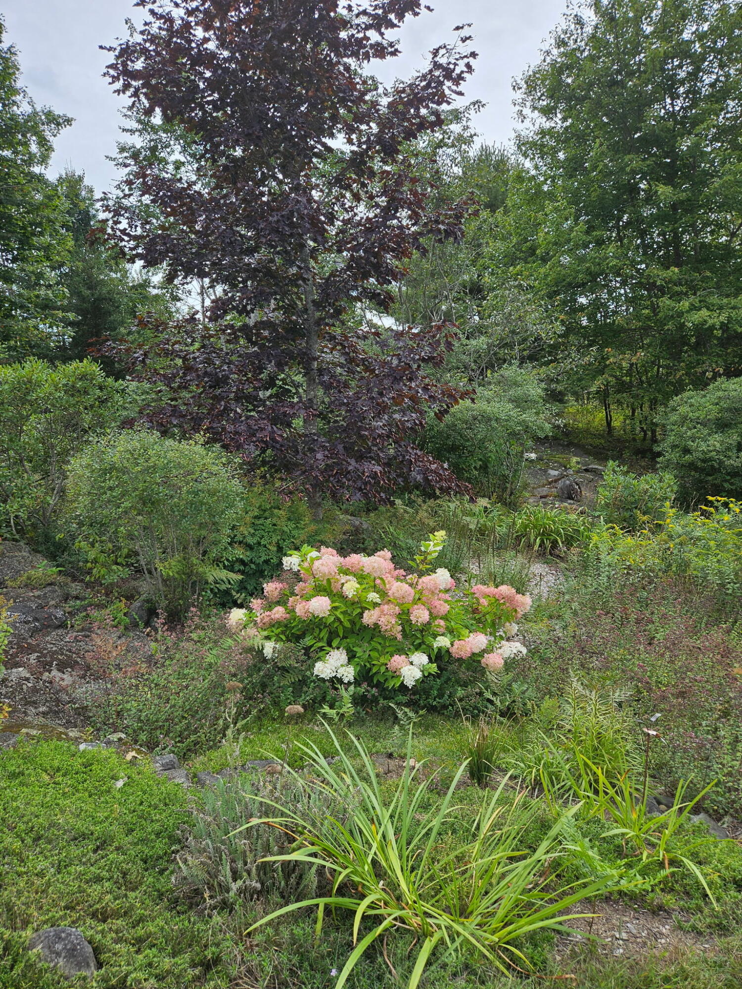 63 Raccoon, Cushing, ME, 04563