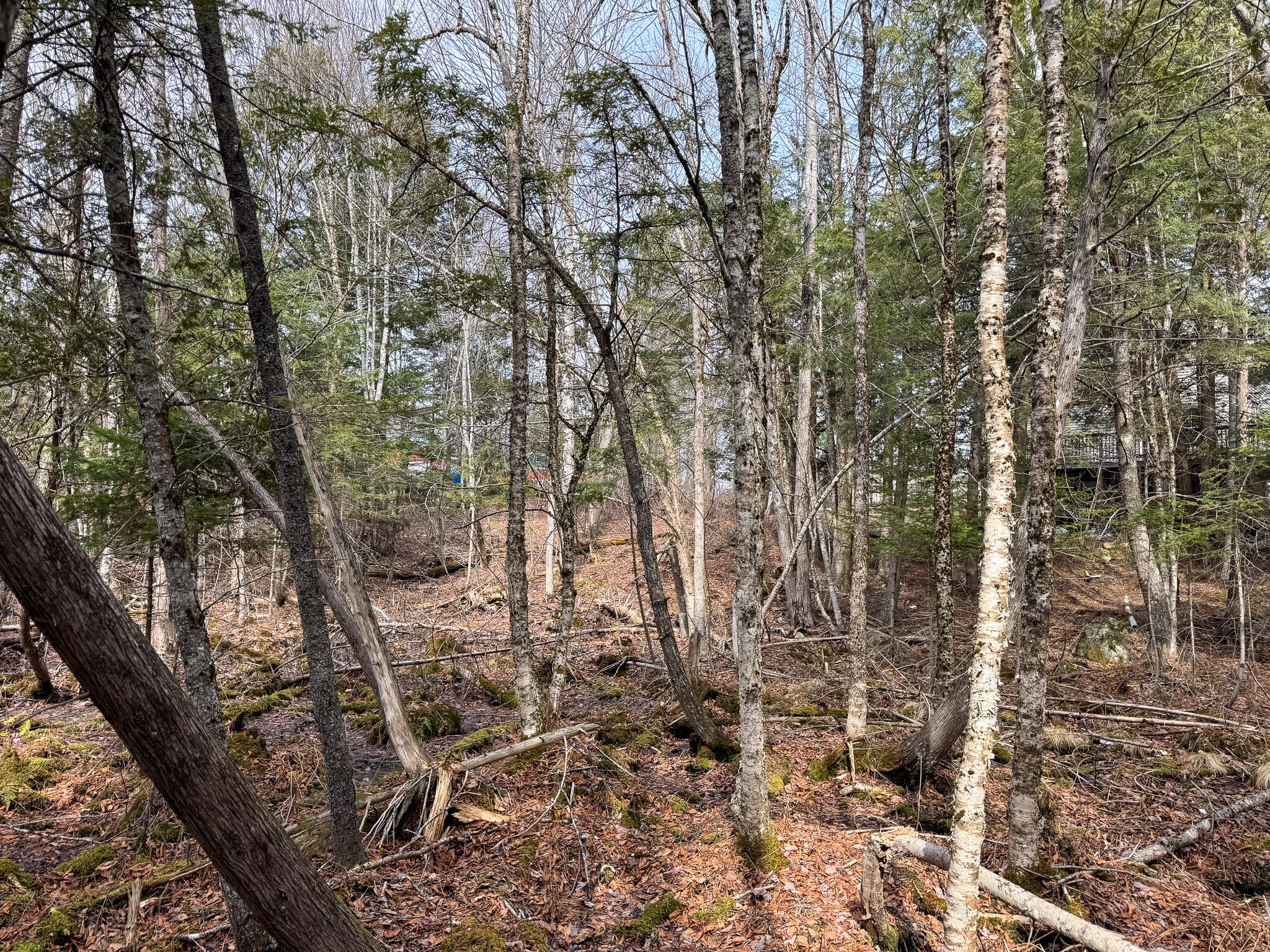 M11L10 Off Gordon Hill Road, Thorndike, ME, 04986