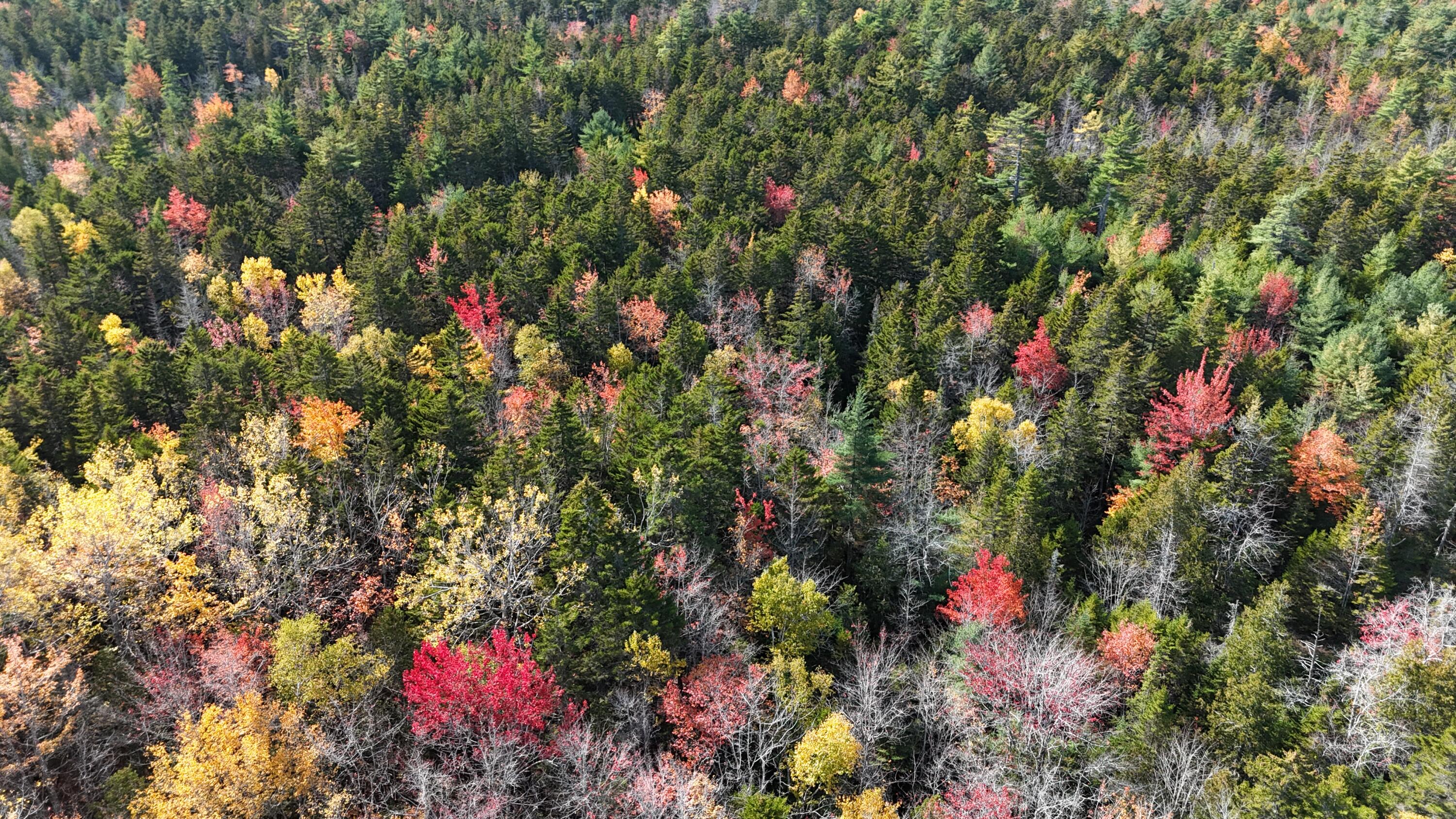 020-078 Blue Hill, Blue Hill, ME, 04614