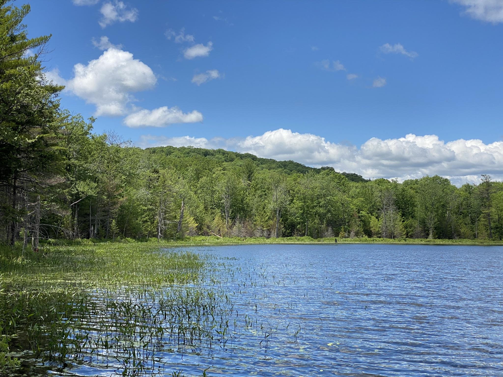 346 Bradeen Road, Sumner, ME, 04292