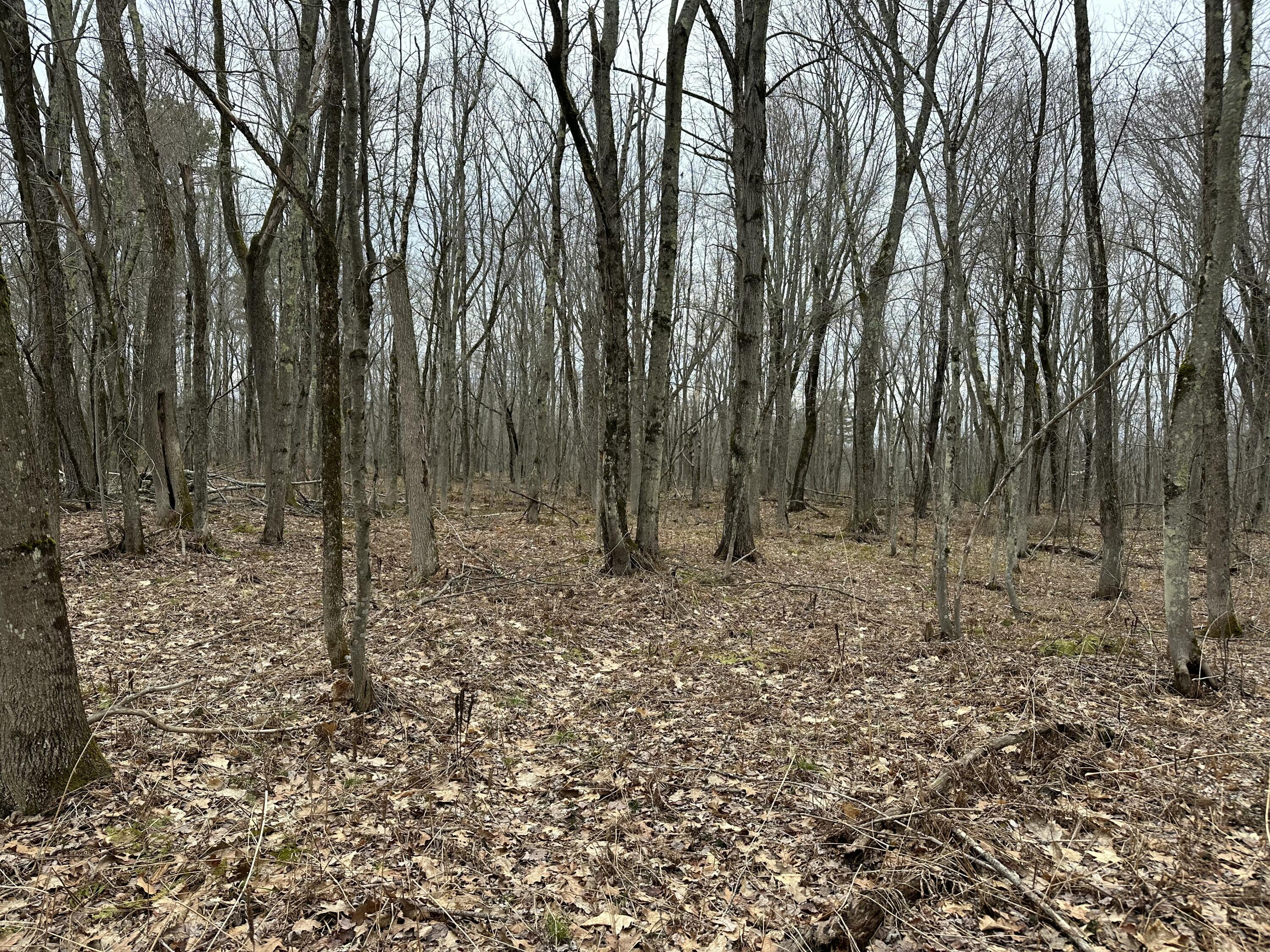 60 Mechanic Falls Road, Poland, ME, 04274