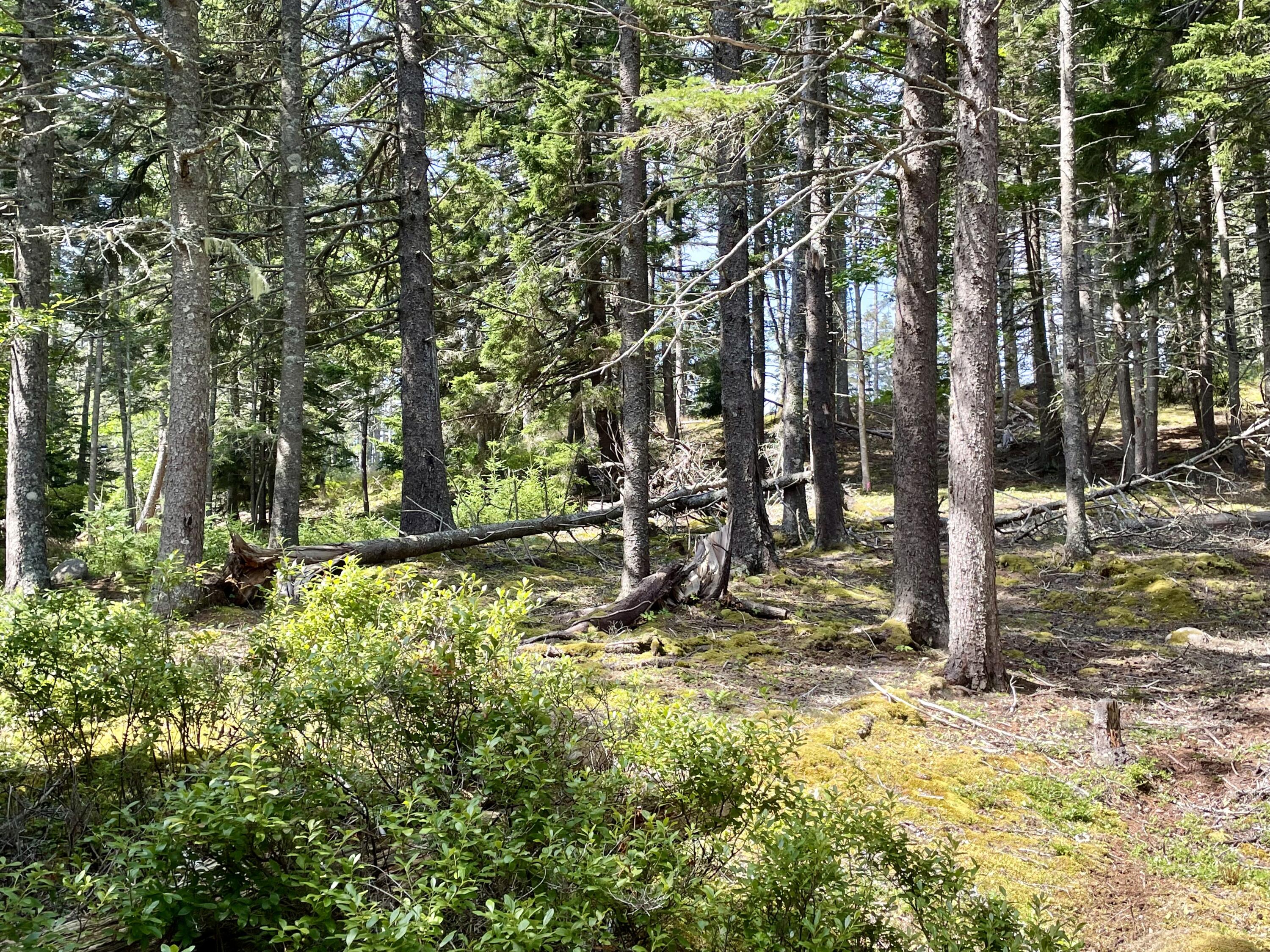 0A Old Harbor Road, Vinalhaven, ME, 04863