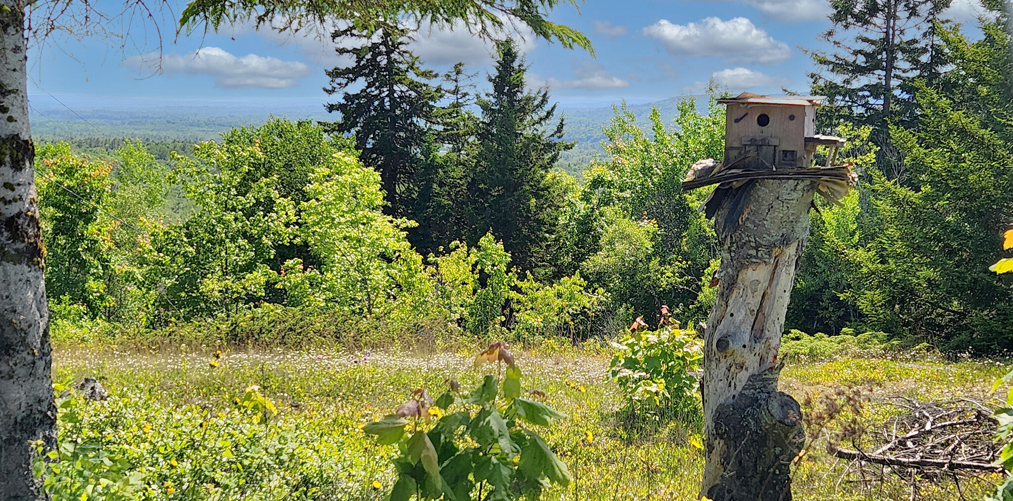 533 Mount Ephraim Map 4 Lot 63 Road, Searsport, ME, 04974