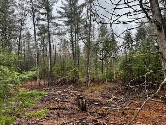 SO 001 Plan 2 Lot 16.1 Long Falls Dam Road, Lexington Twp, ME, 04961