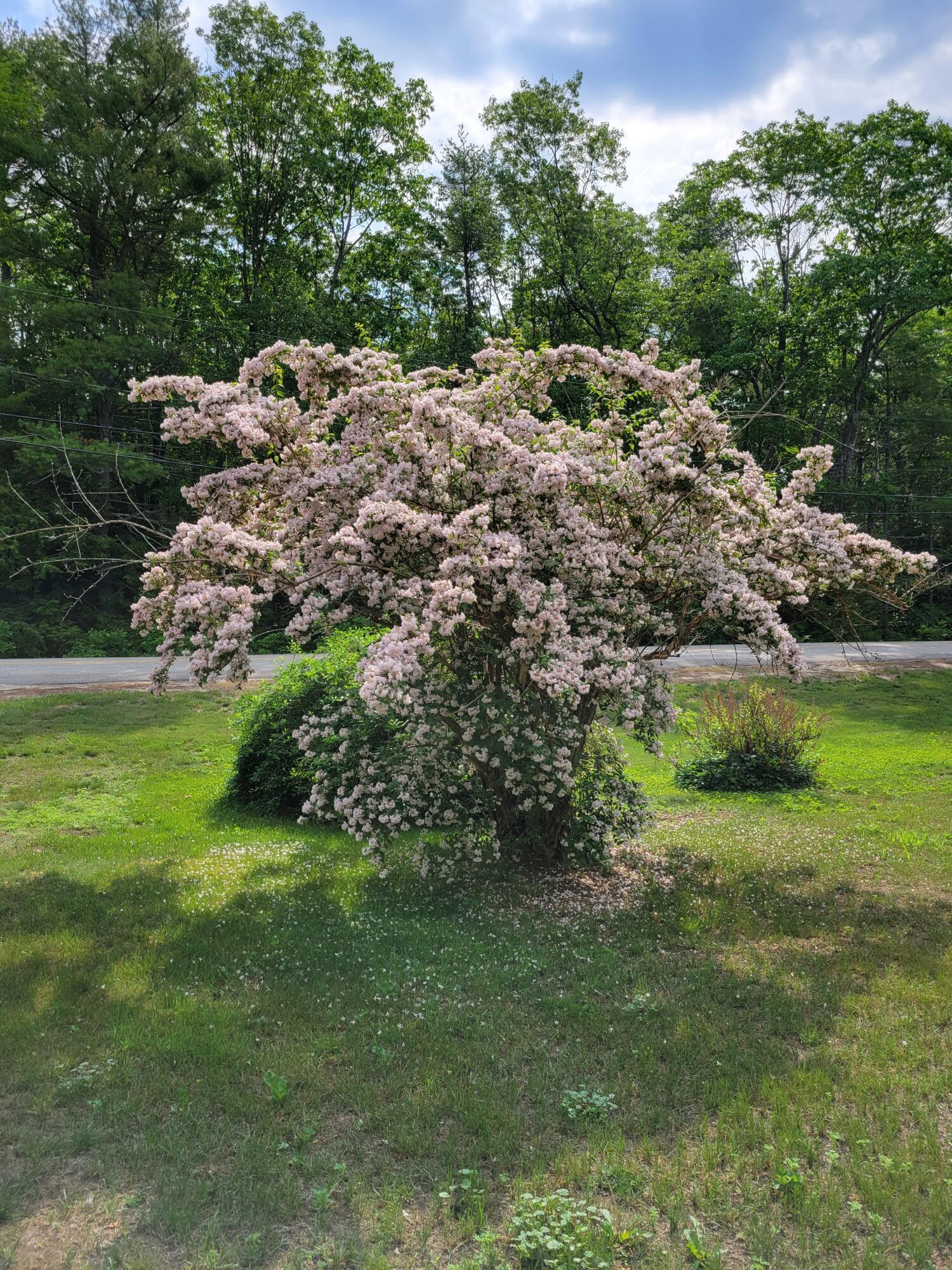 46 N Gorham Road, Gorham, ME, 04038