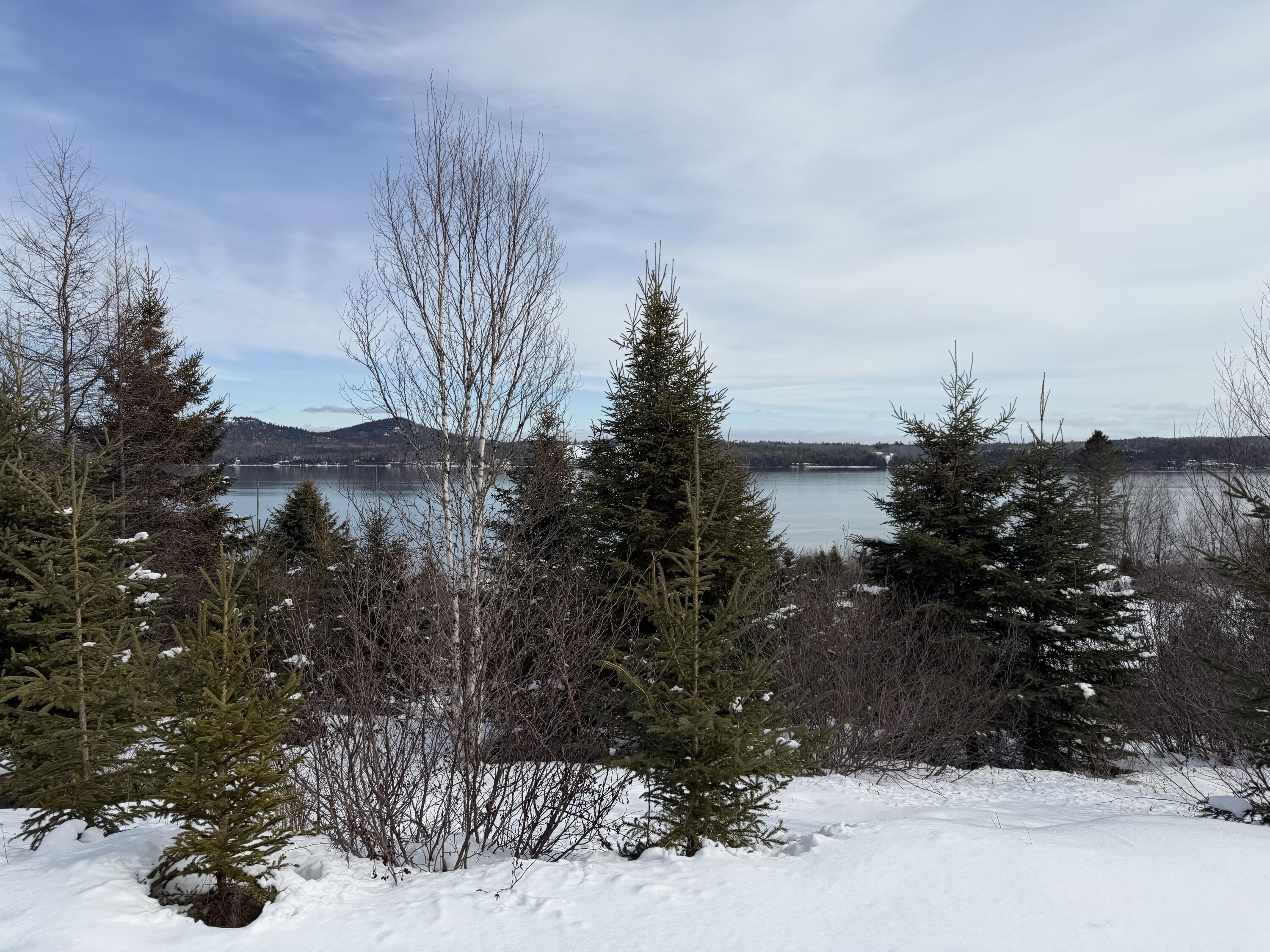 Search Homes for Sale