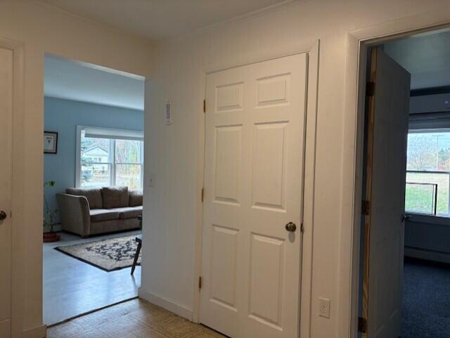 50 Blackwoods Road, Franklin, ME, 04634