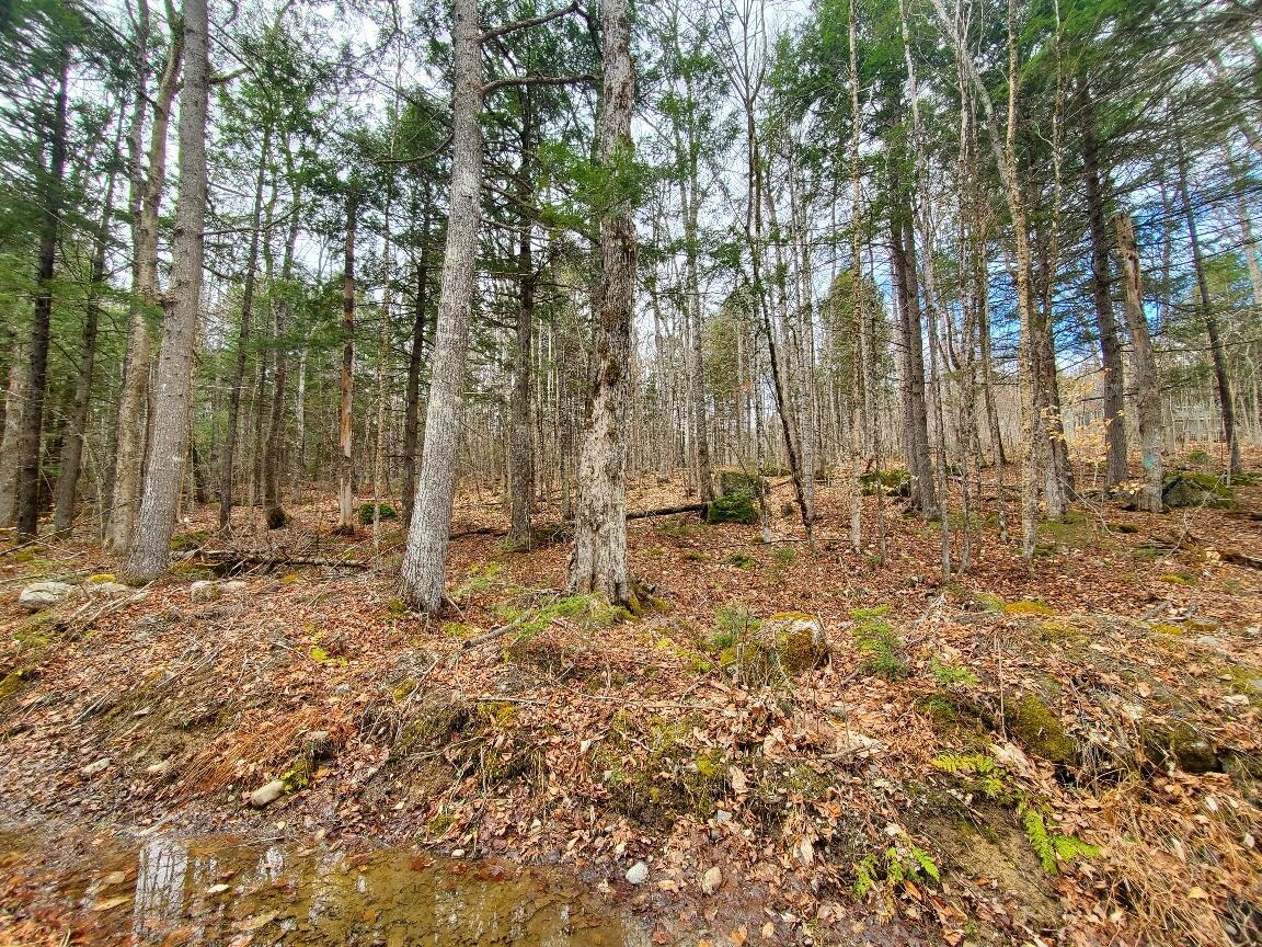 0 Sandy Beach Road, Danforth, ME, 04424