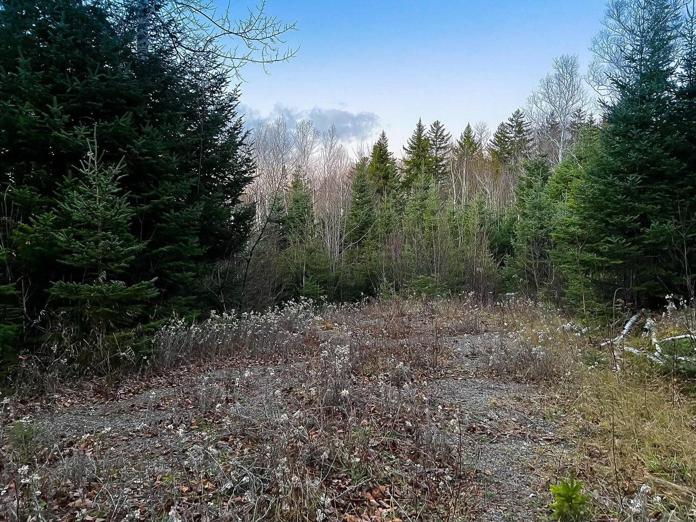 Lot 16 Mill Brook Road, Sandy River Plt, ME, 04970