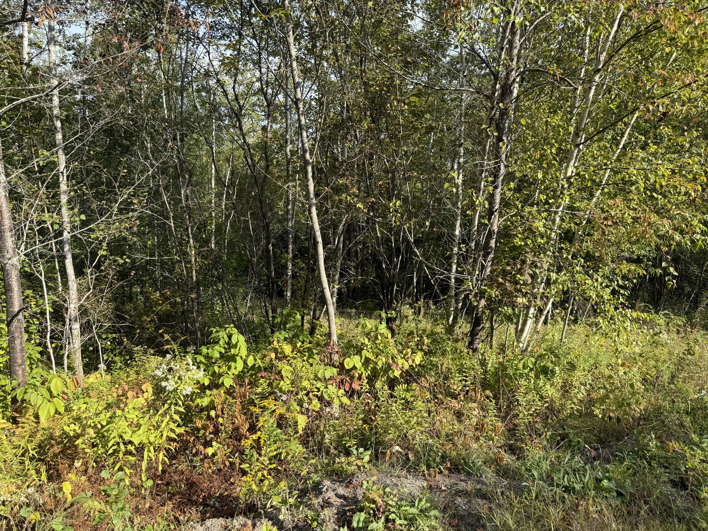 1 and 11 Bowling Green Lane, Belfast, ME, 04915