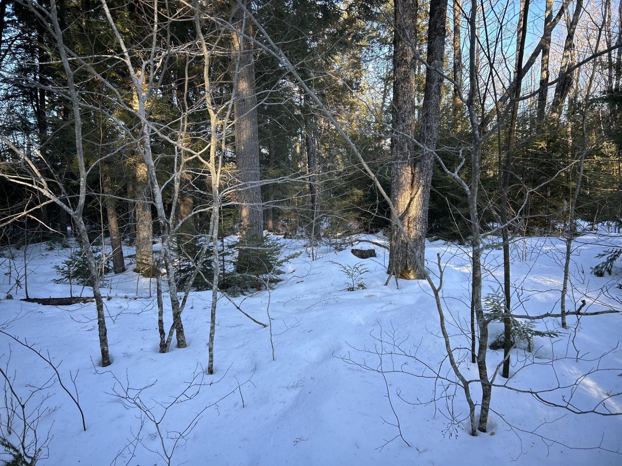 M7L22 Nelson Ridge Road N, Washington, ME, 04574