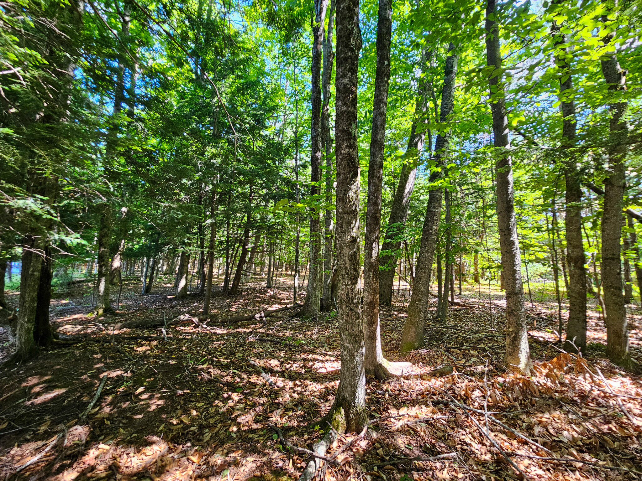 11-31-C Stone Hill Road, Farmington, ME, 04938