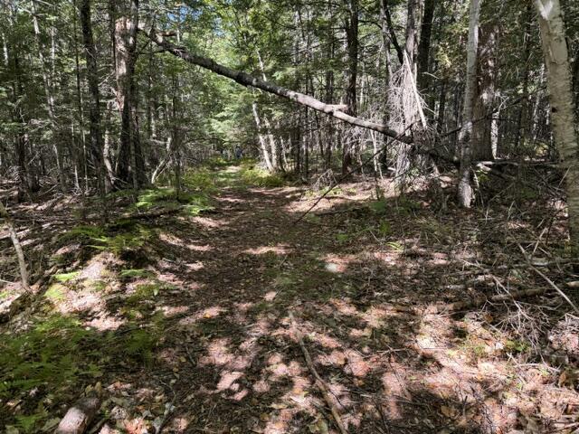 Photo of R10-2-3A Nota Drive #TBD Hartford ME 04220