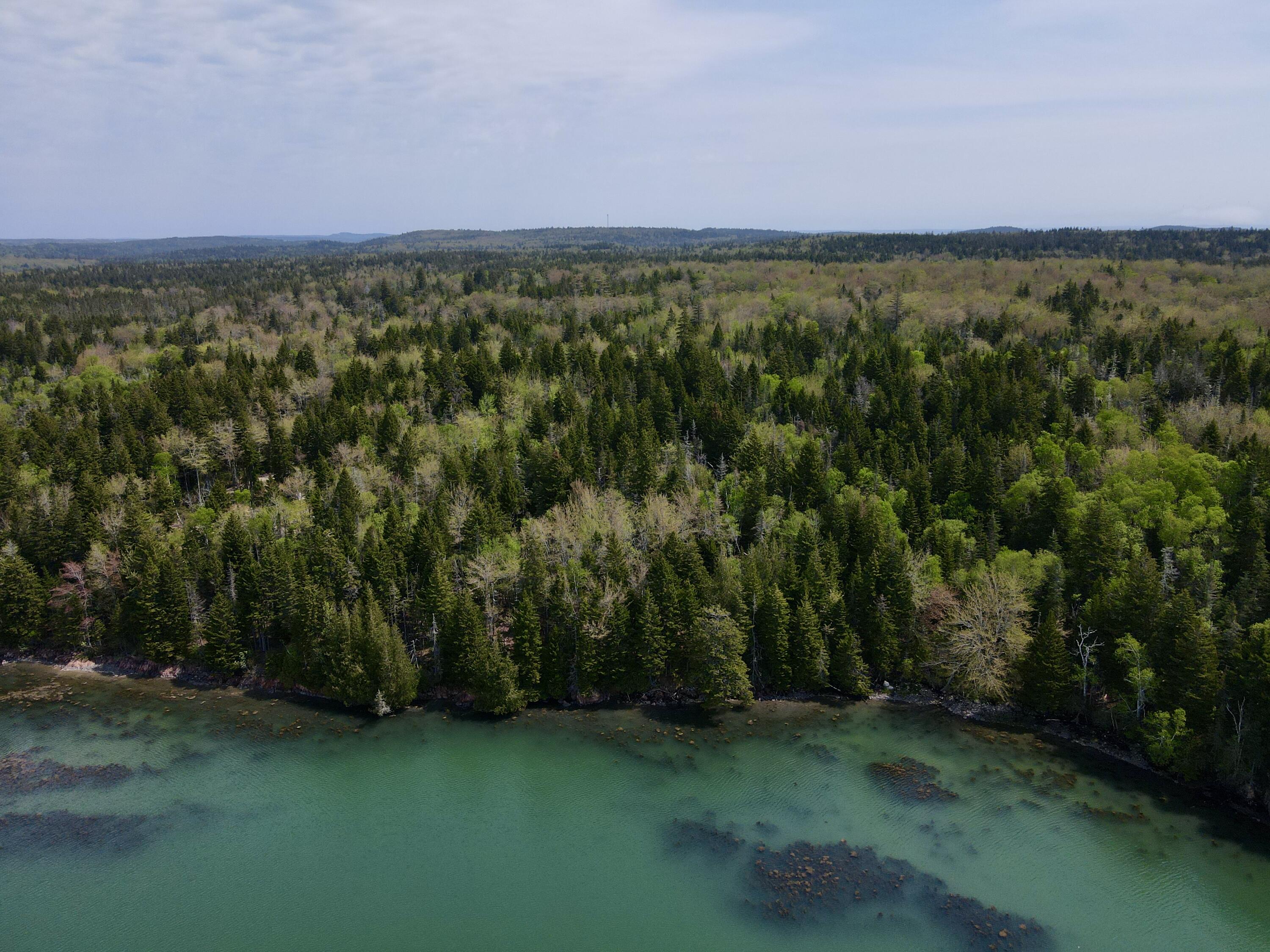 Lot 15 Collins Cove Road, Machiasport, ME, 04655