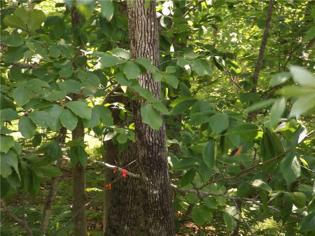 266 Molly Ockett Lane E, Woodstock, ME, 04219
