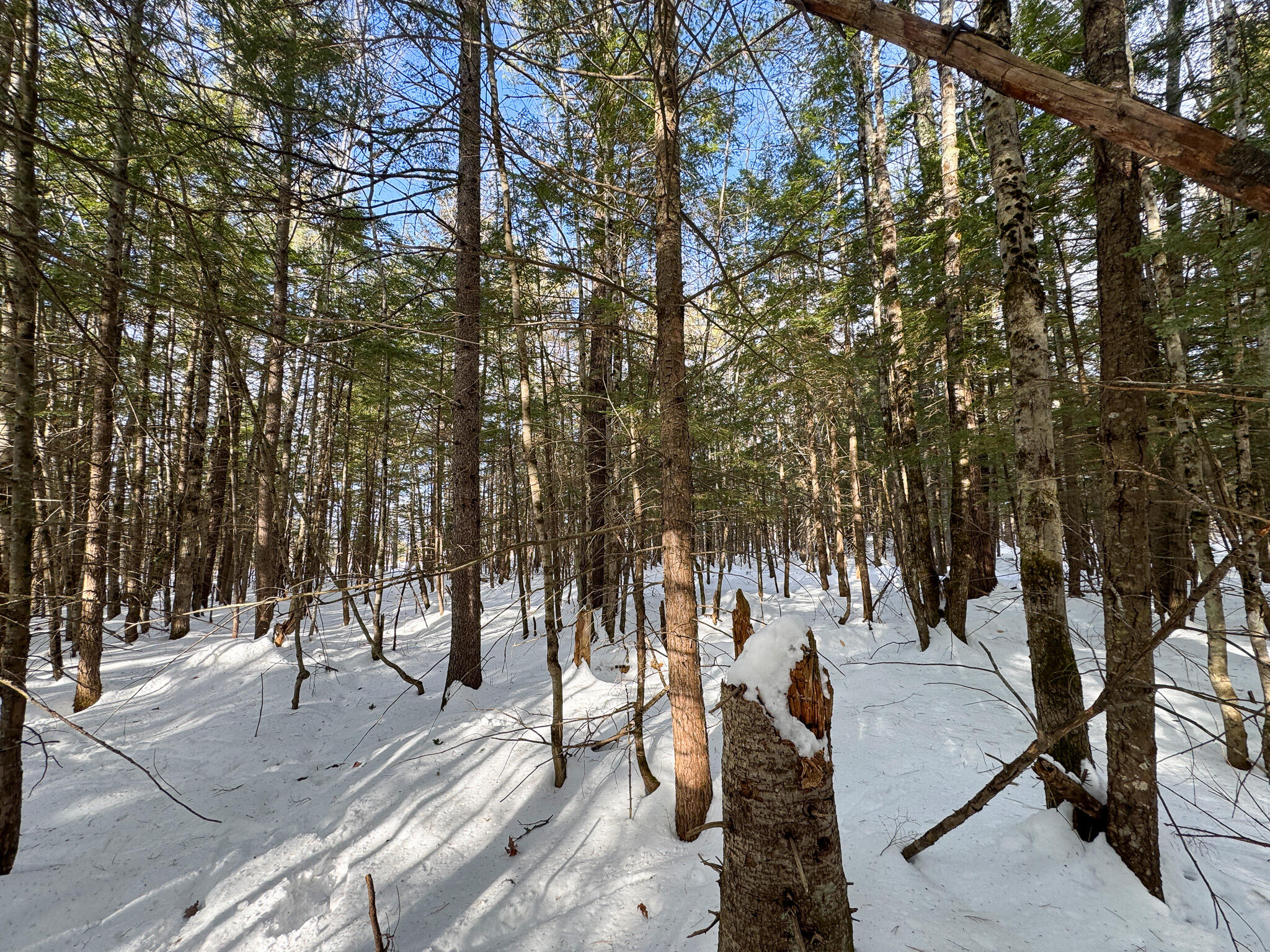 100 Sam Brown Hill Road, Brownfield, ME, 04010